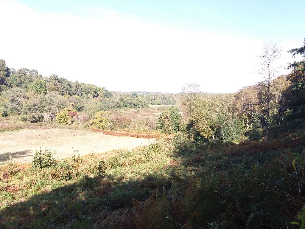 Groombridge Rocks West Kent - Groombridge, Harrison's Rocks, Buckhurst Park, and the ...