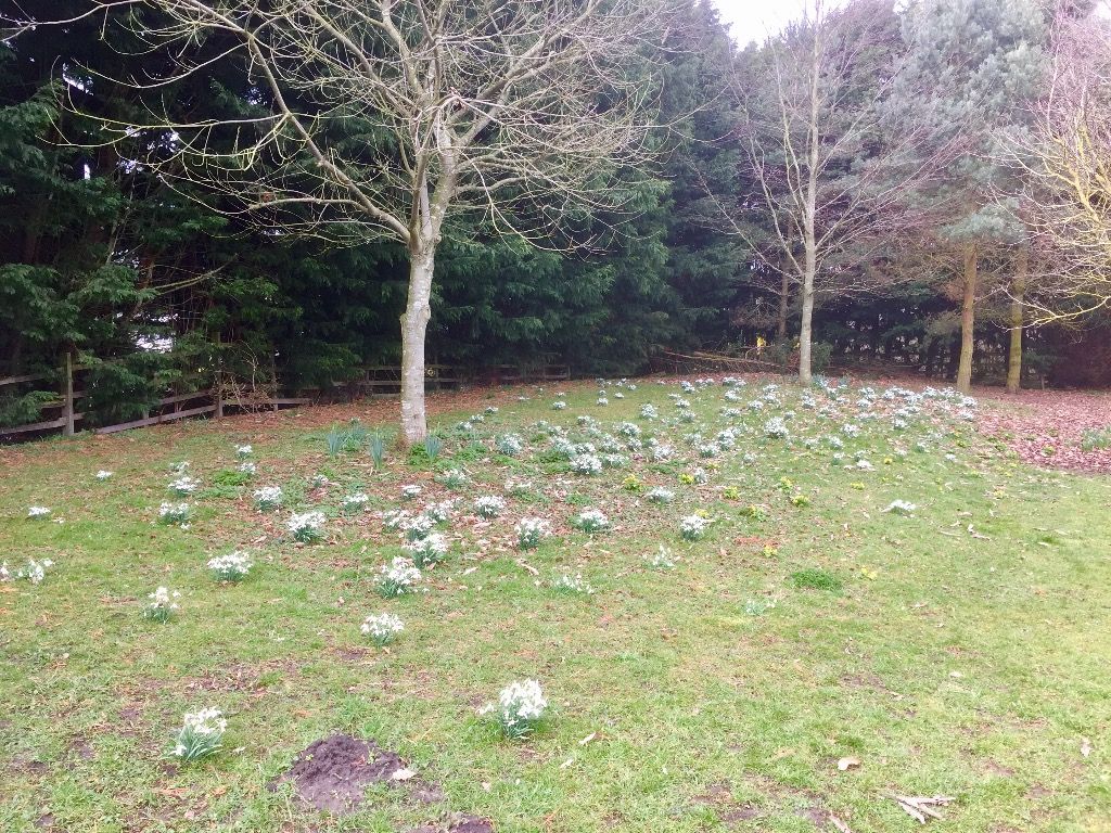 Nettleham walk