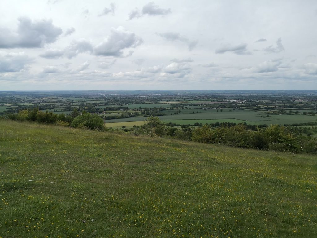 View from Beacon Hill