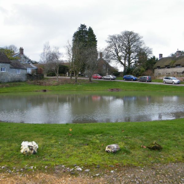 Dorset Group 12 Jan 20 Ashmore Wood Gay Outdoor Club