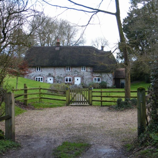 Dorset Group 12 Jan 20 Ashmore Wood Gay Outdoor Club