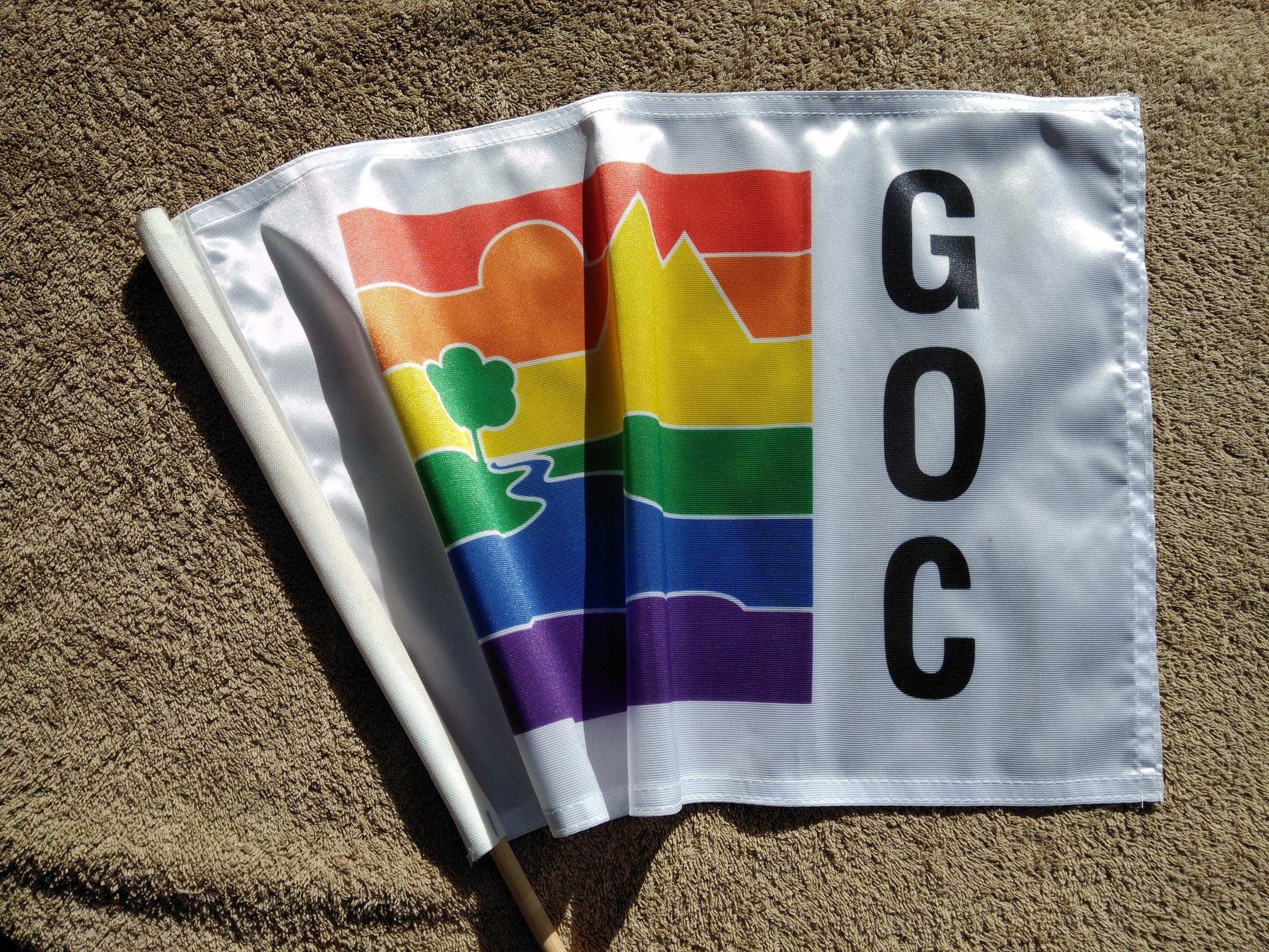 Nomination and Resolutions for the 2022 AGM