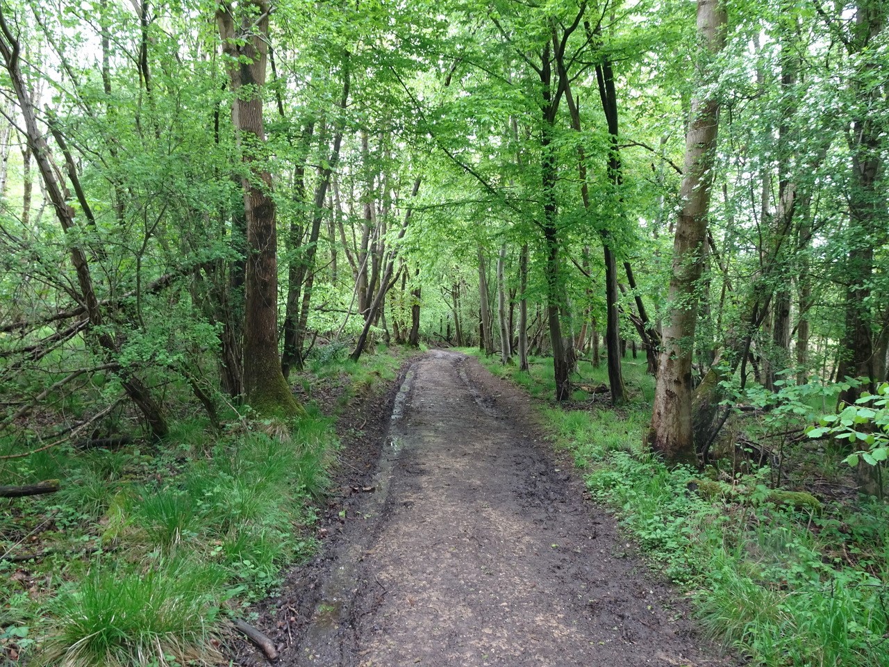 Sat 3 Charlbury And The Wychwood Forest Oxon Gay Outdoor Club Sat 3 Charlbury And The Wychwood Forest Oxon Gay Outdoor Club