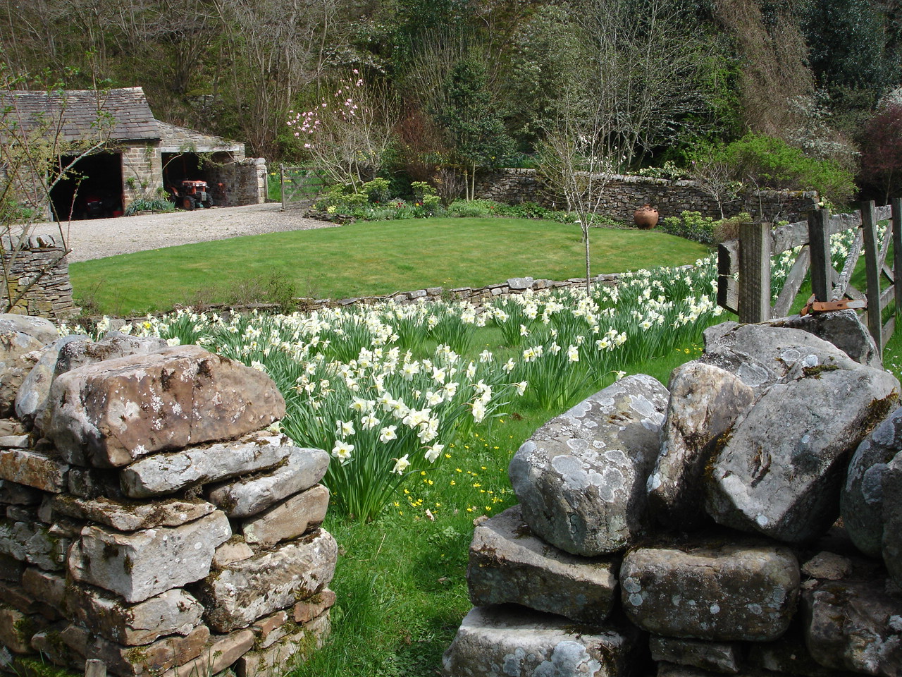 Greta Gorge:  a springtime riverside ramble