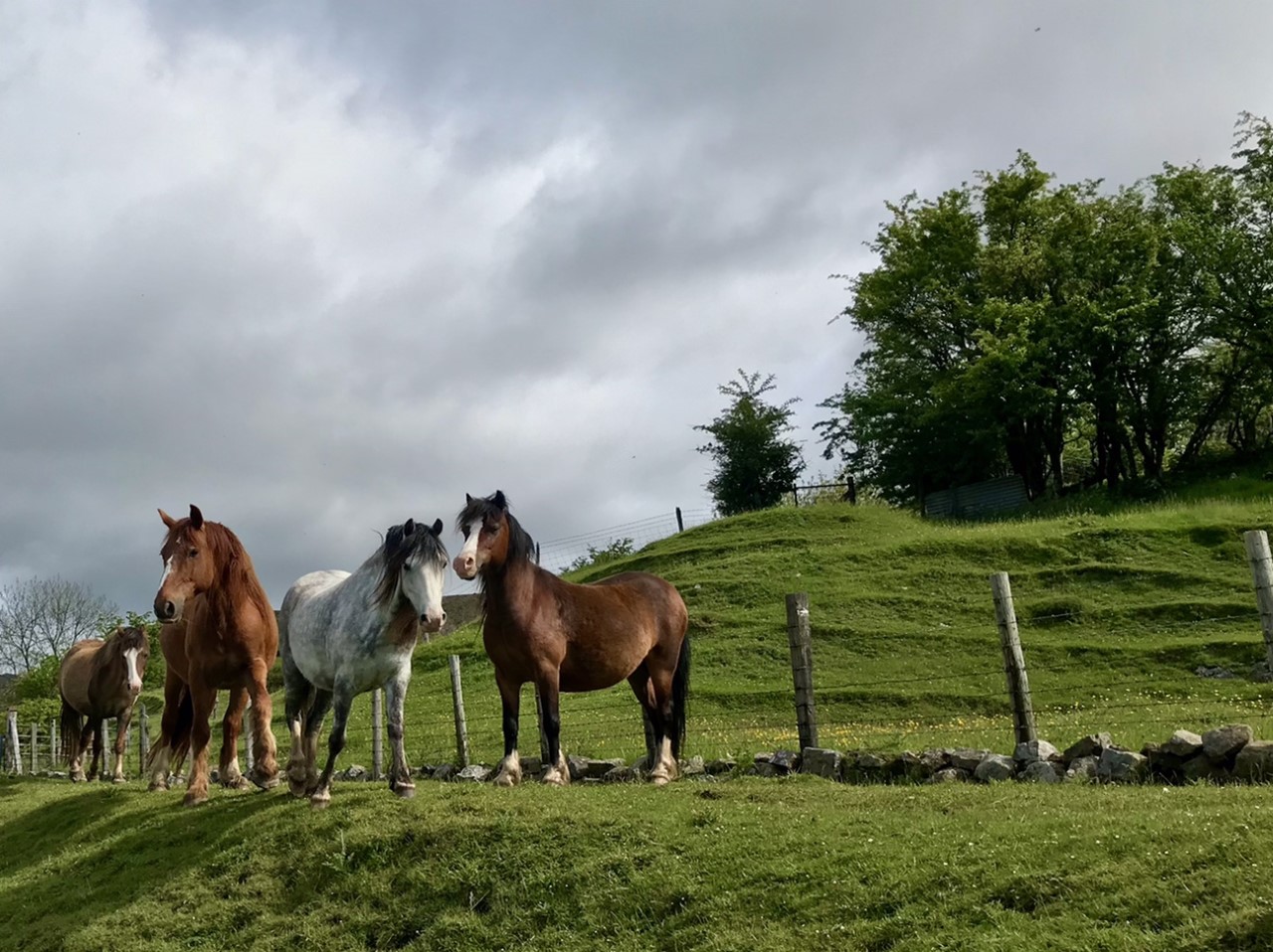 Trefil Trefil - Gay Outdoor Club
