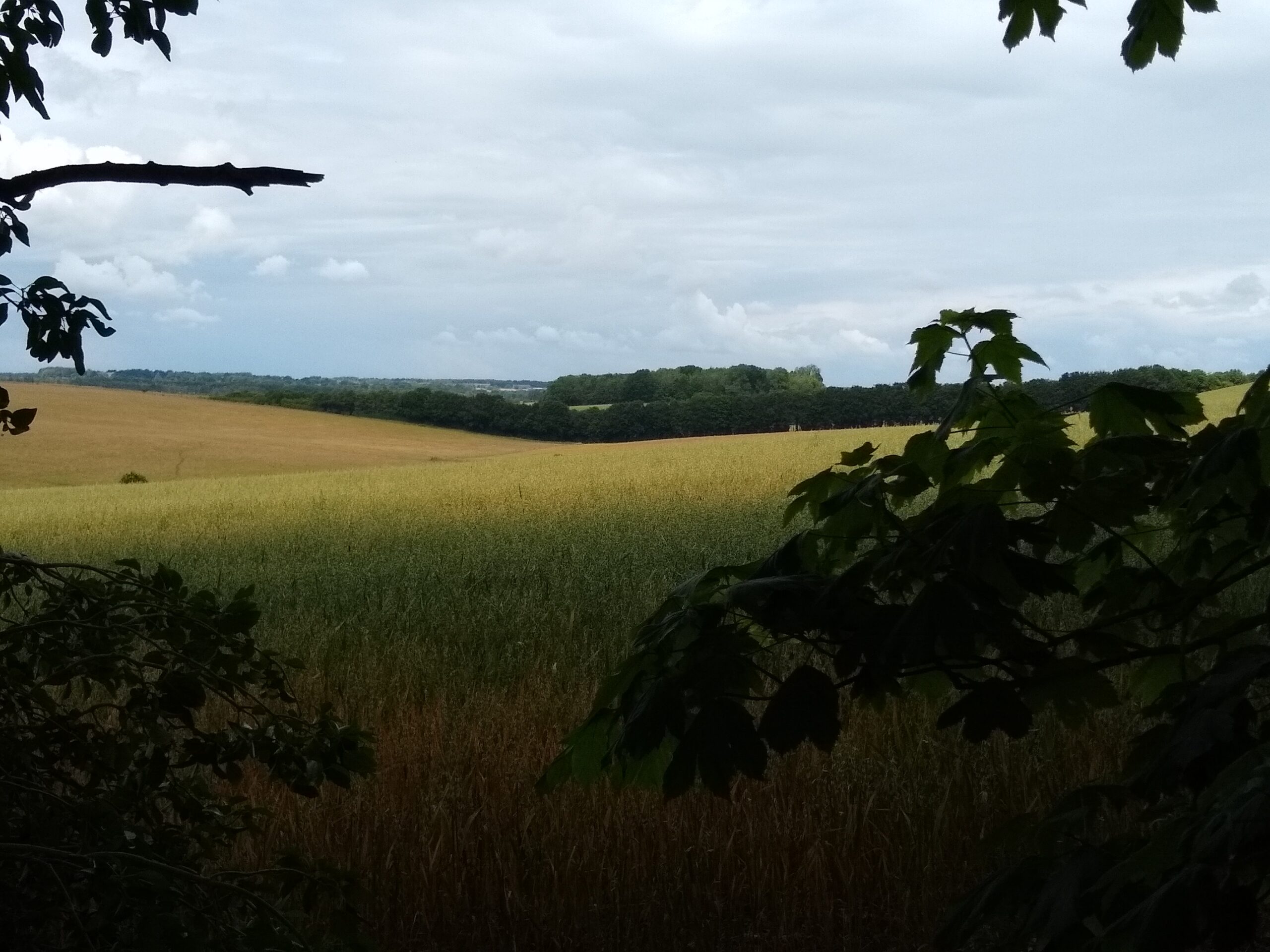 Amesbury, Stonehenge & Normanton 3-7-22