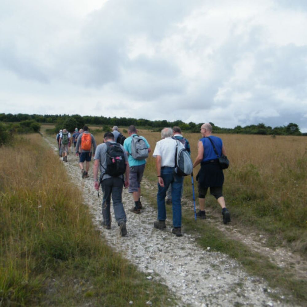 Solent & Dorset Groups Sunday 21 Aug: Martin Nature Reserve to Cranborne