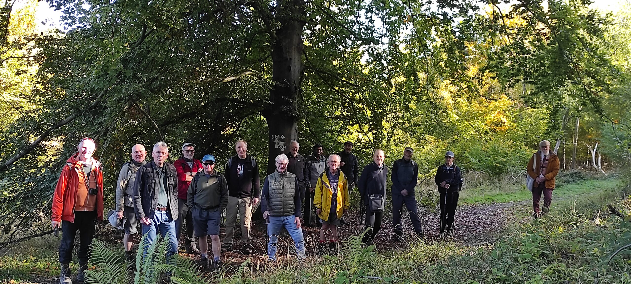Watlington Hill walk