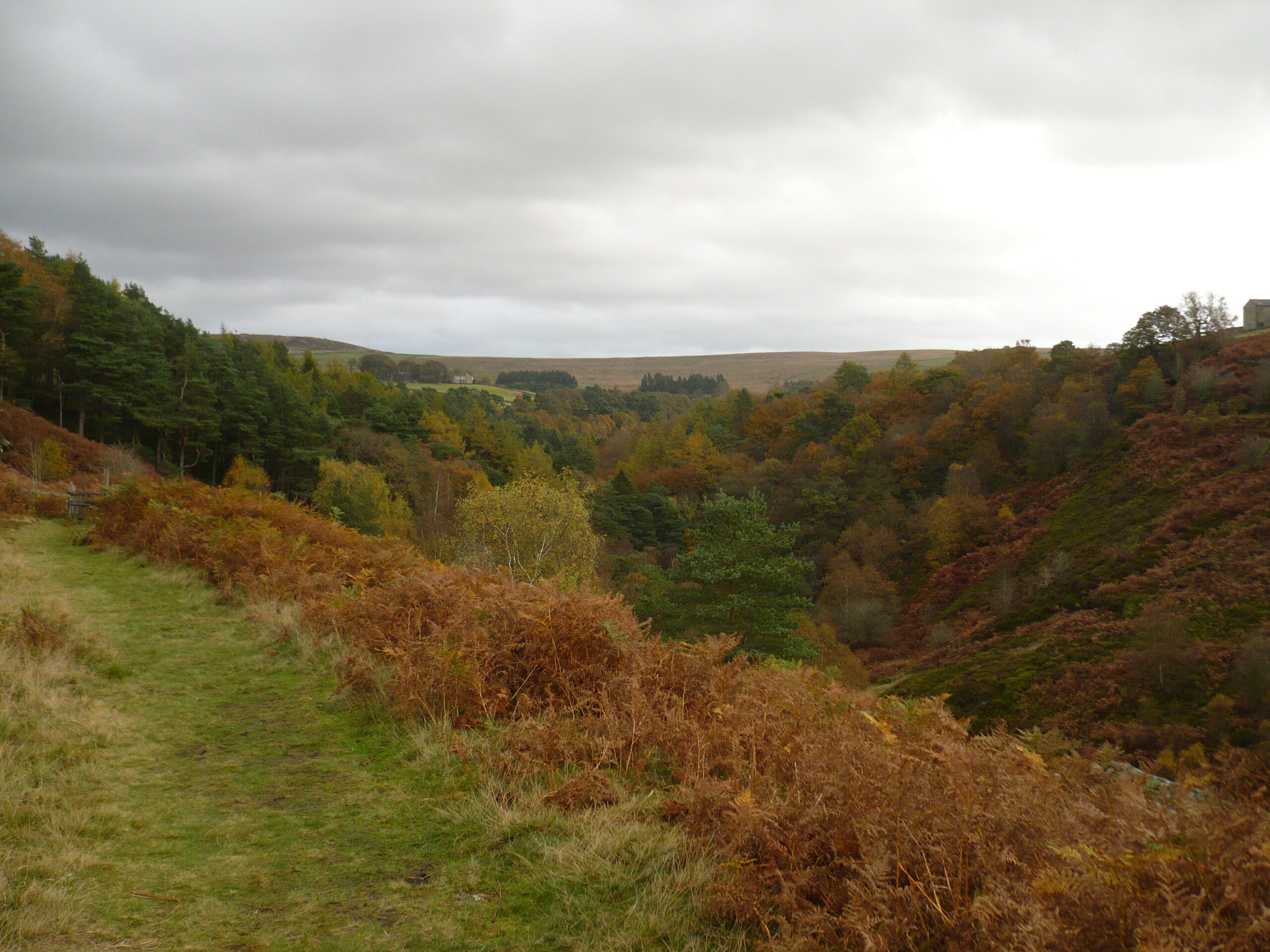 Autumn Colour