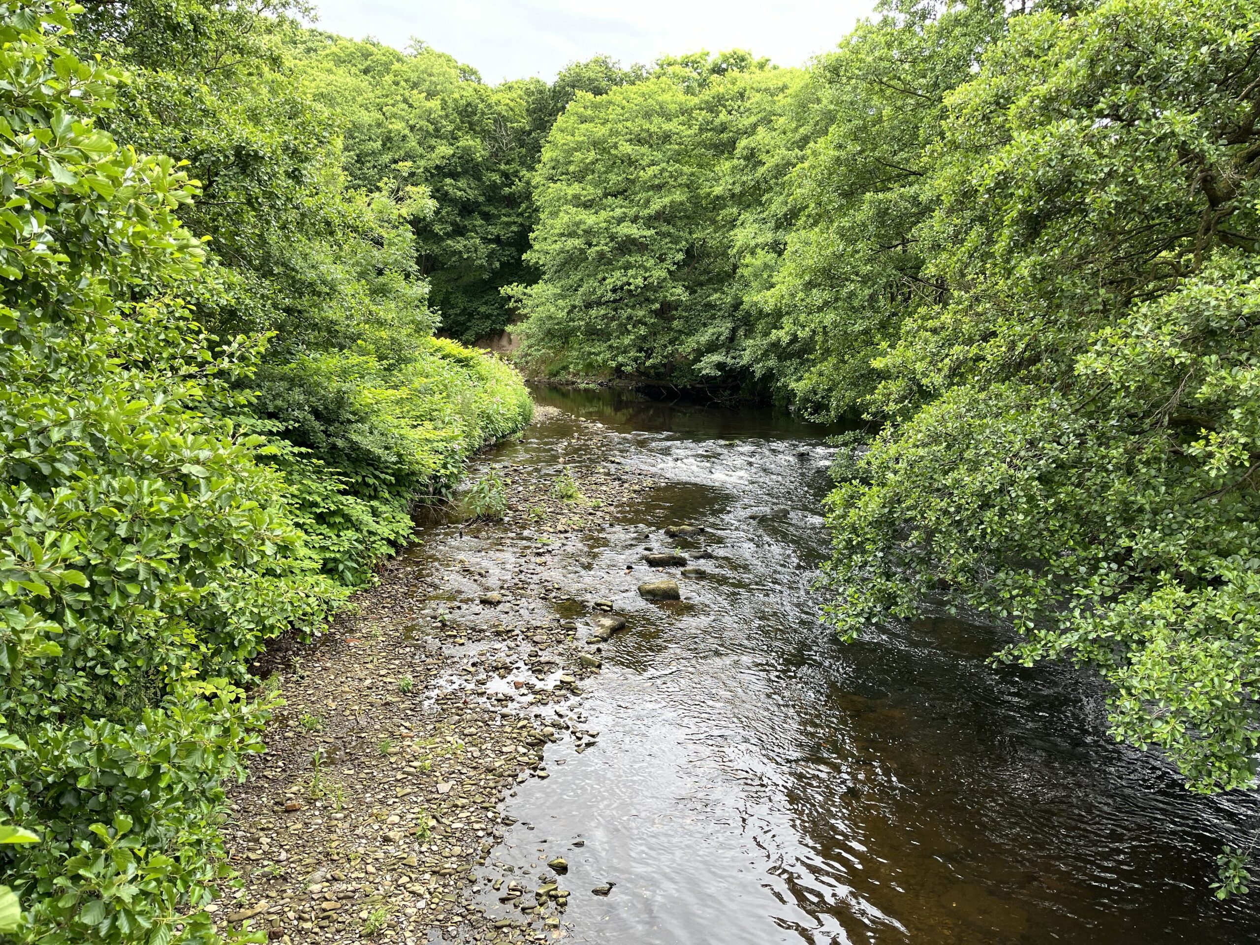 Compstall to Lymefield - Cancelled - Gay Outdoor Club