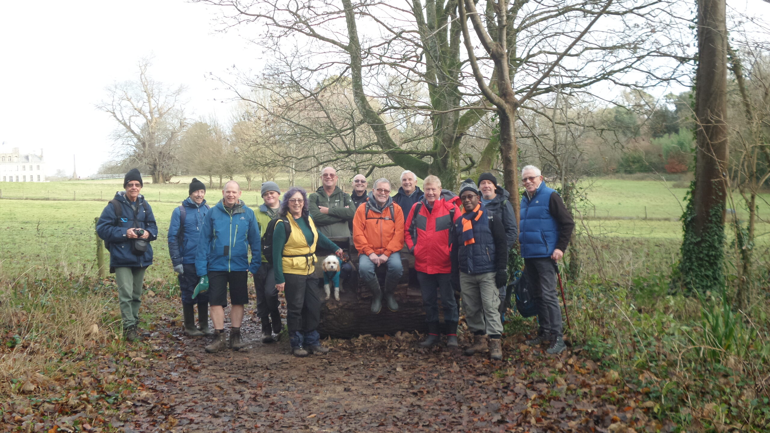 Dorset Group 27Dec22: Kingston Lacy Woods