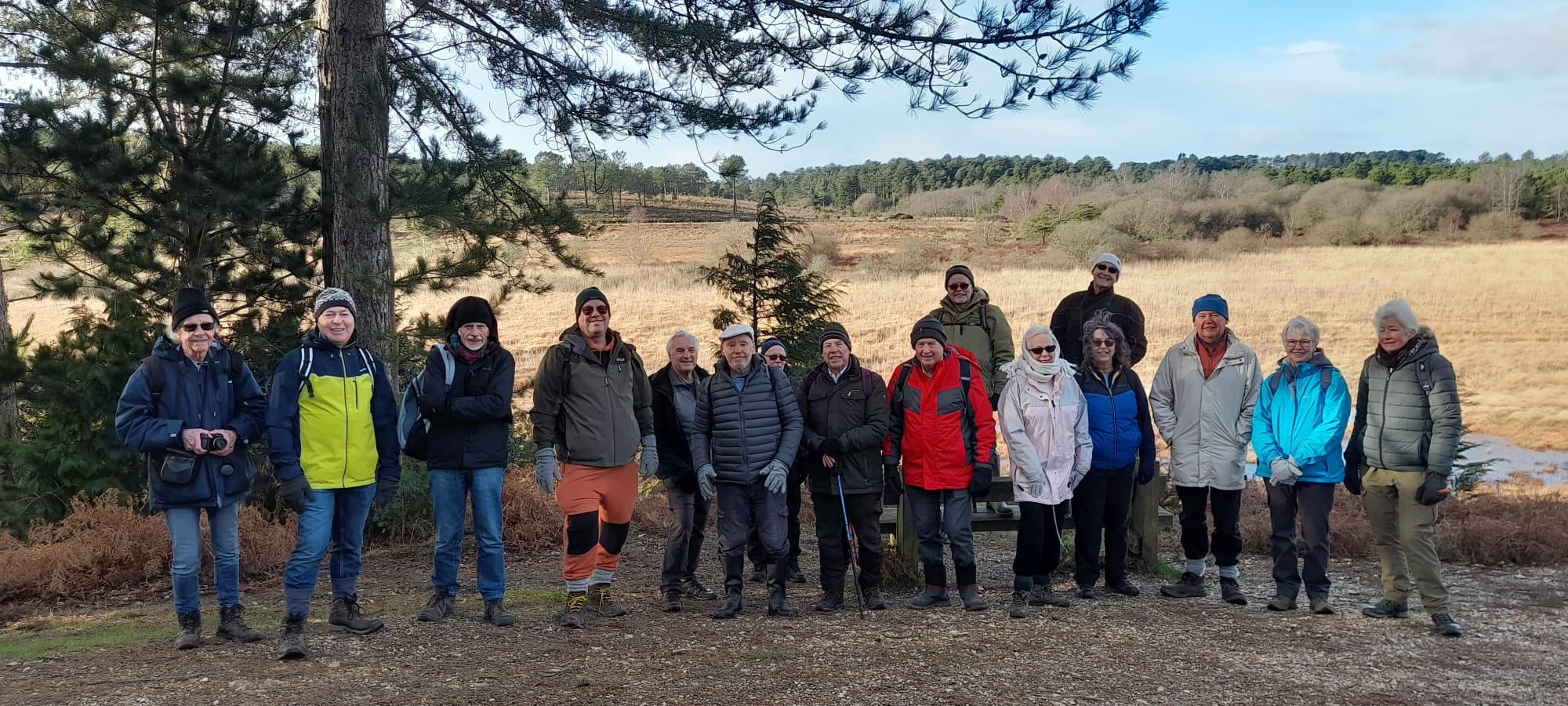 Dorset Group 15Jan23: Lawson Clump and Morden Bog