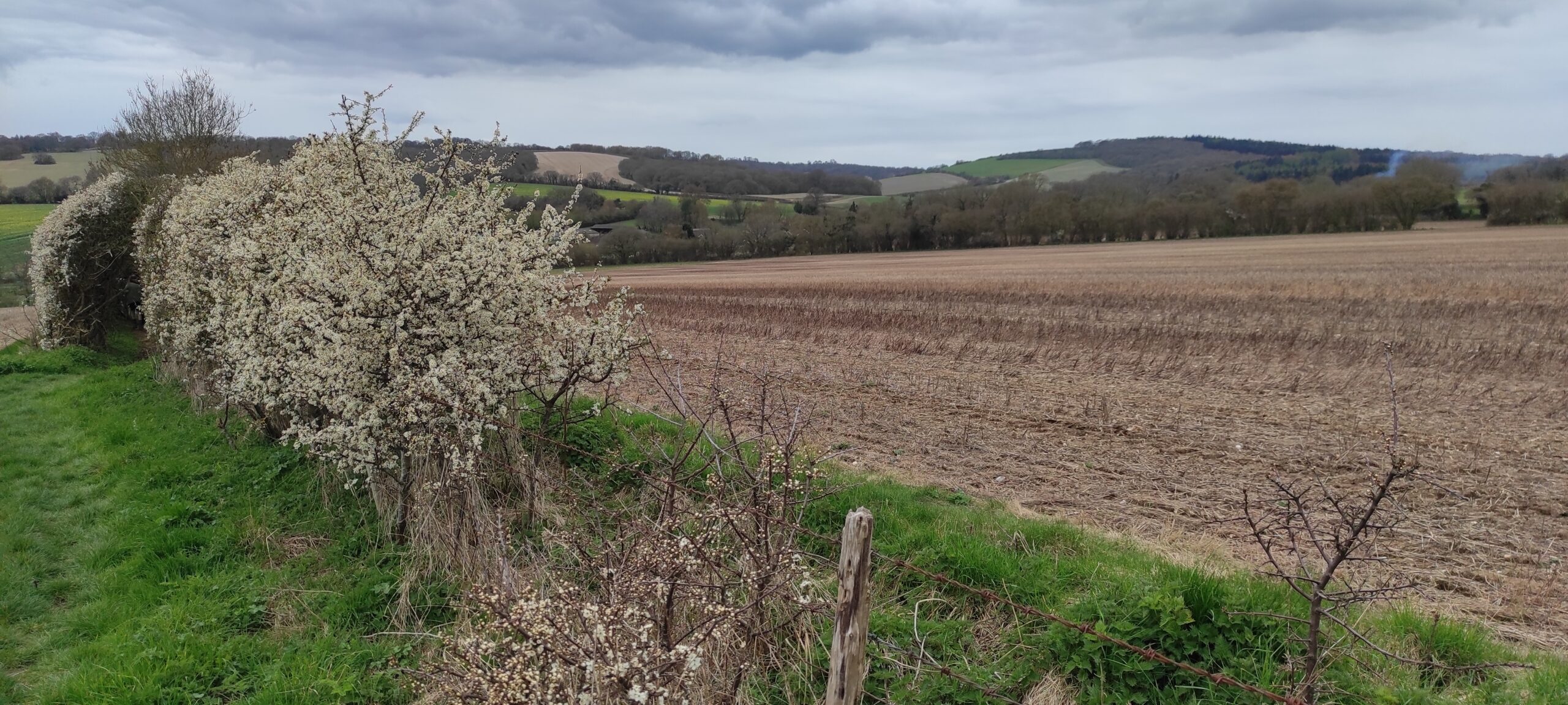 Berkshire and Mid Thames: Circular walk in North Hampshire