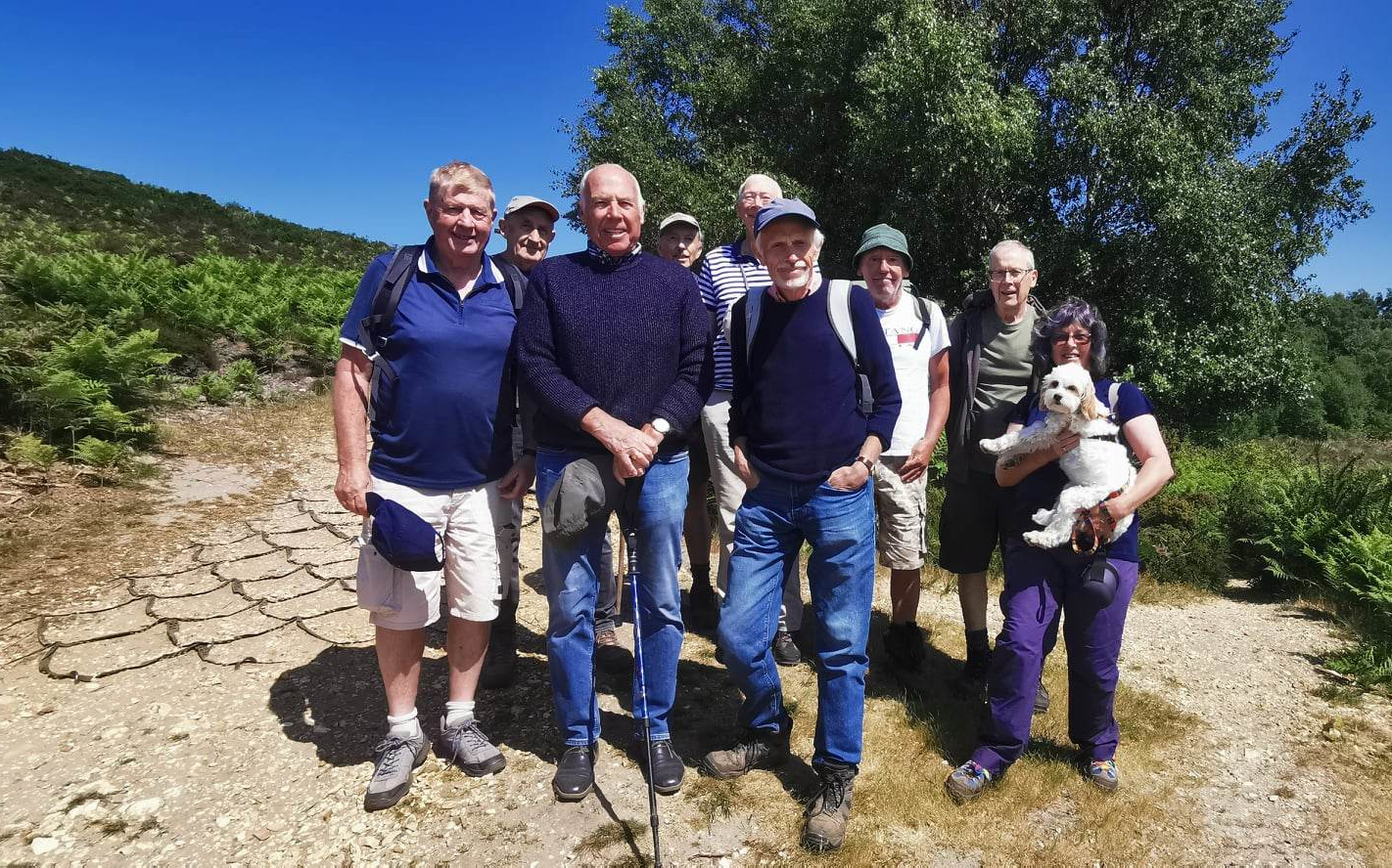 Dorset Group Tue30May:  Easy Stroll around Upton Heath