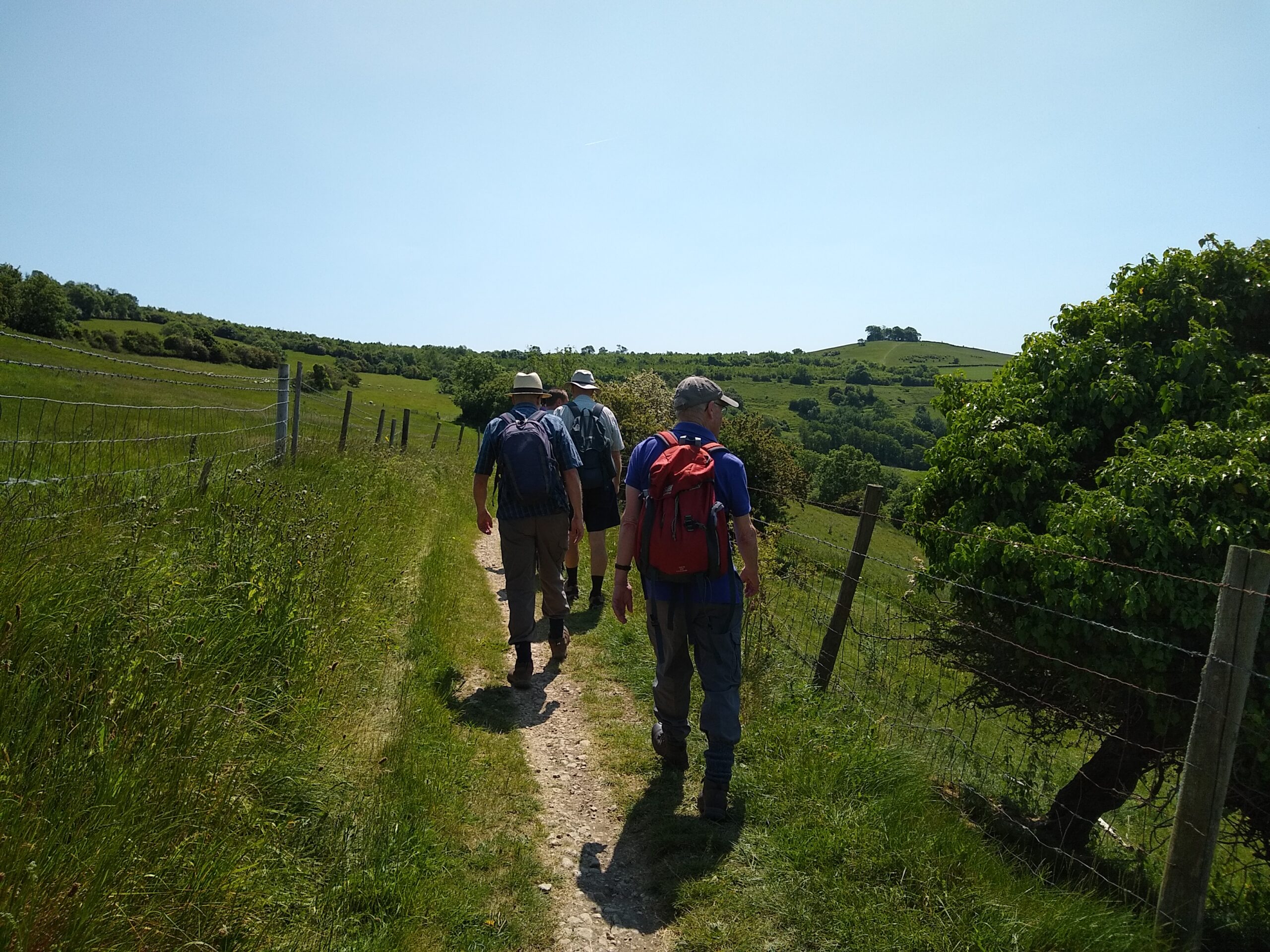 A Round Hill Romp 4-6-23