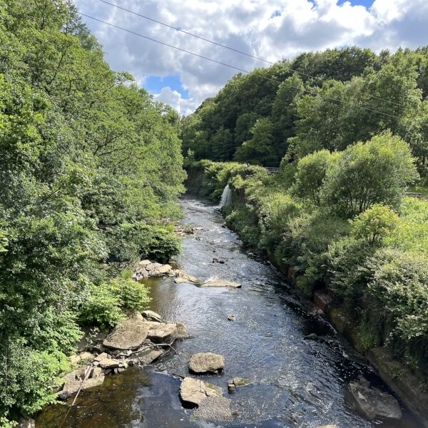 River Etherow