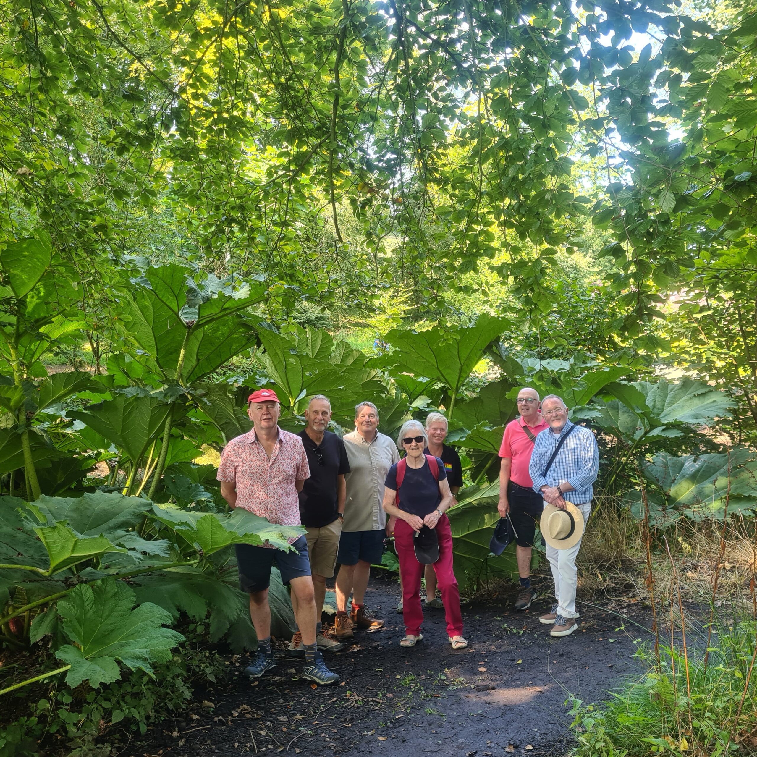 Gardens Group visit Aberglasney near Carmarthen – Sept 2023