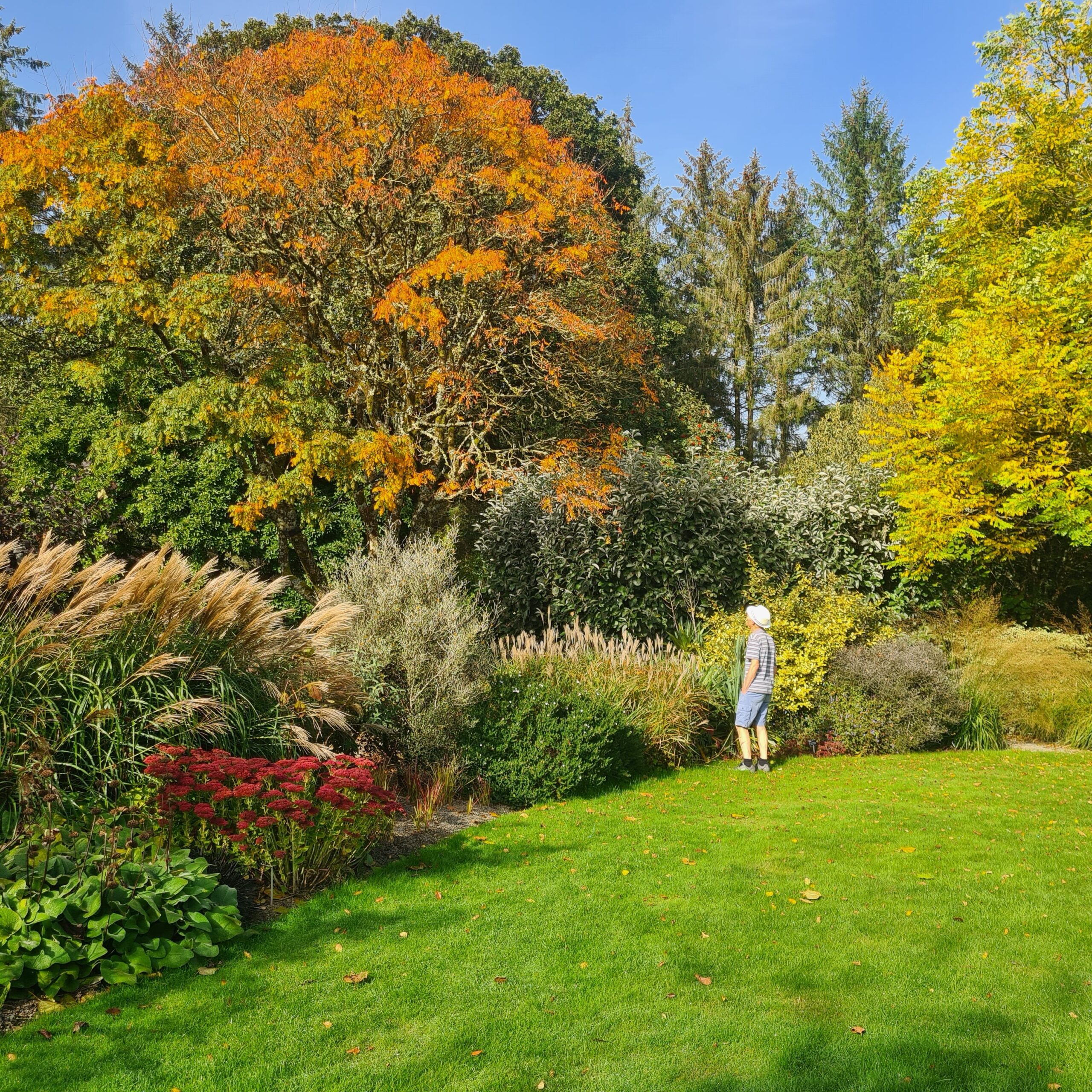 Gardens – visit to RHS Rosemoor Gardens, Devon 7 October 2023
