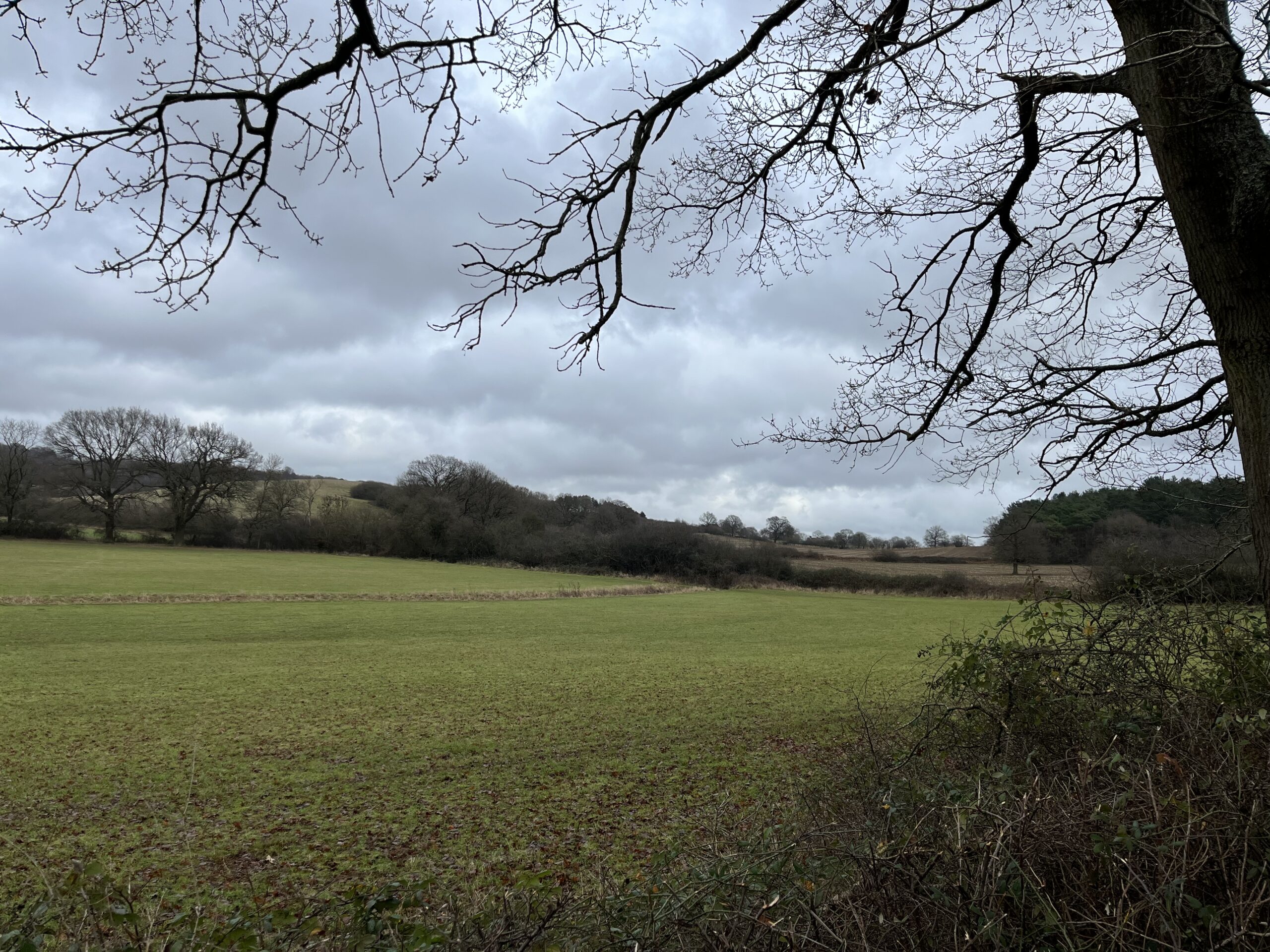 Outwood and the Bletchingly Loop