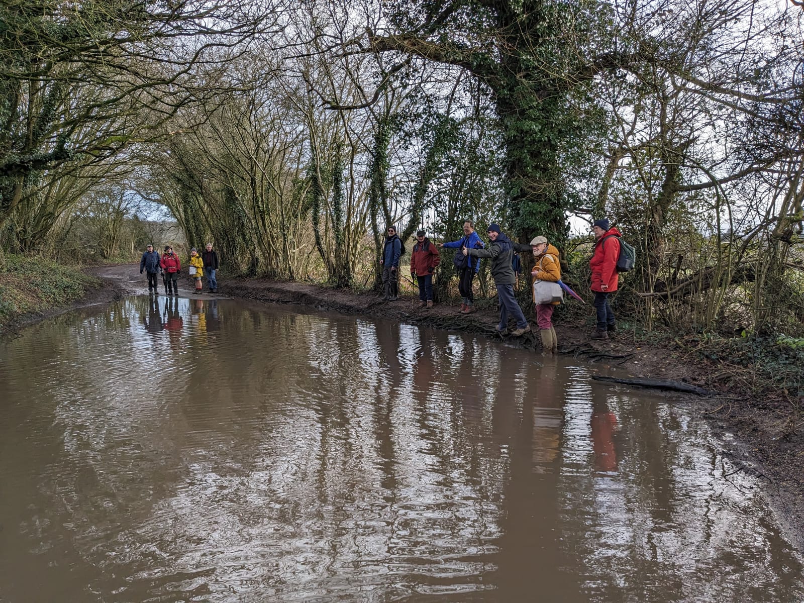 Traditional New Year’s Day circular walk:Woodcote