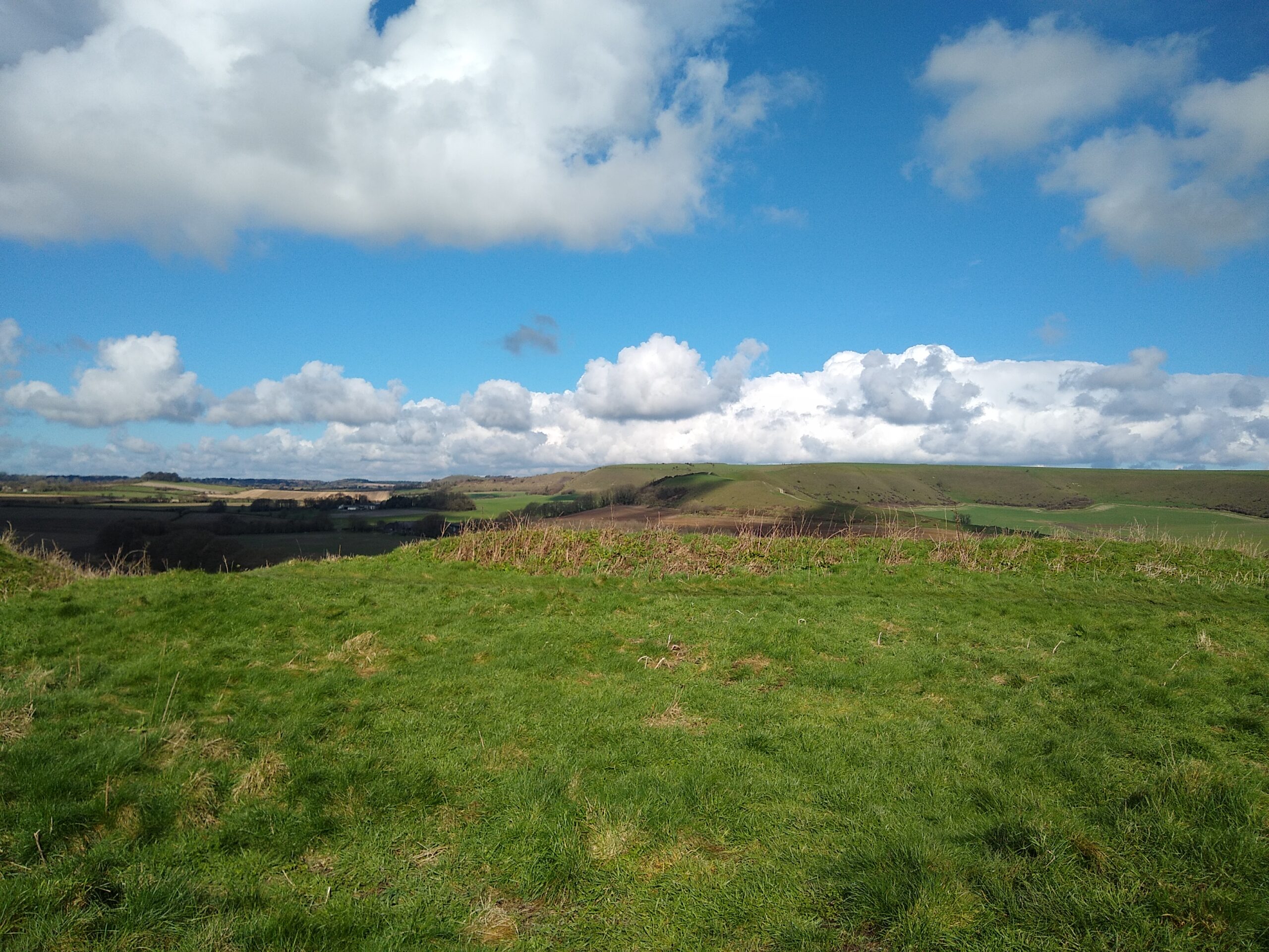 Mere-ly a Walk 3-3-24