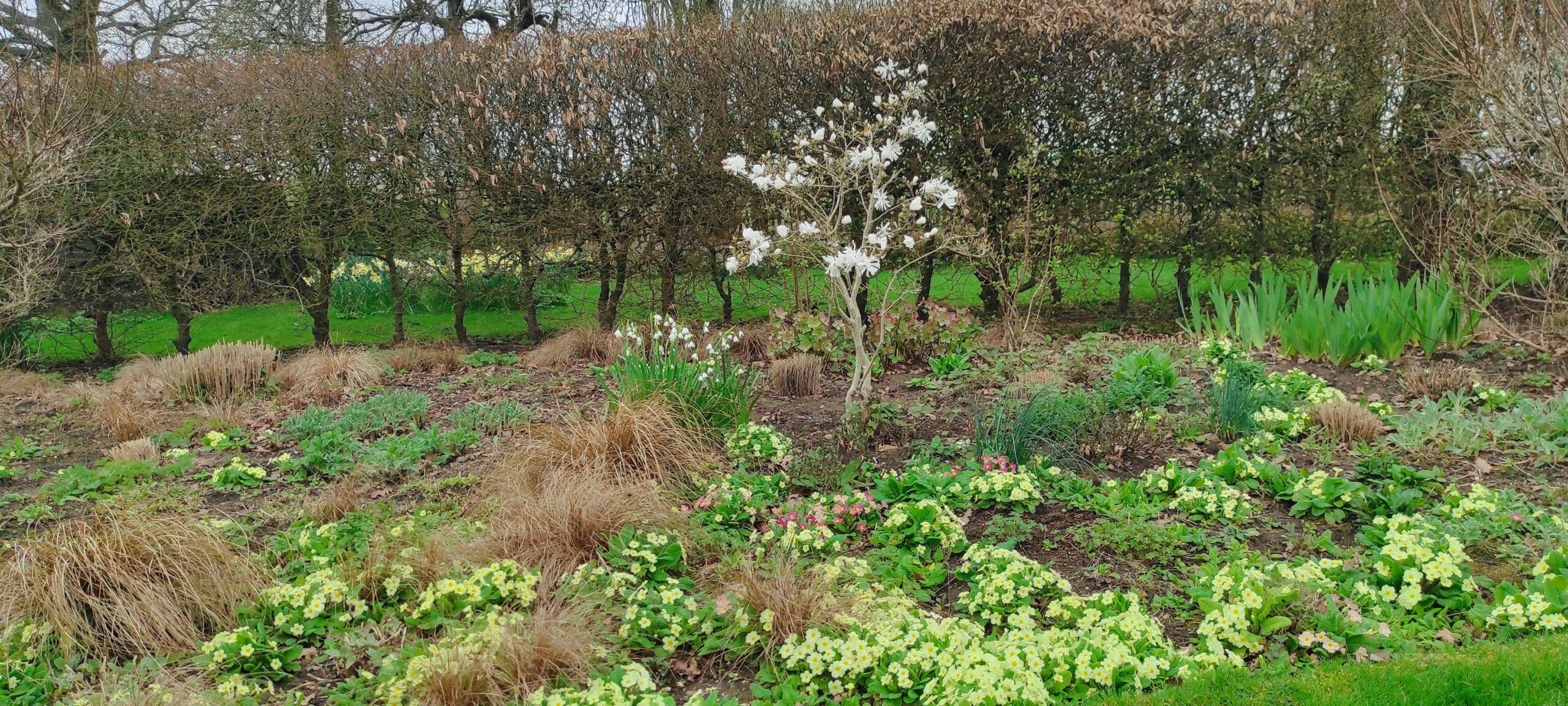 Garden visit to St Timothee Pinkneys Green