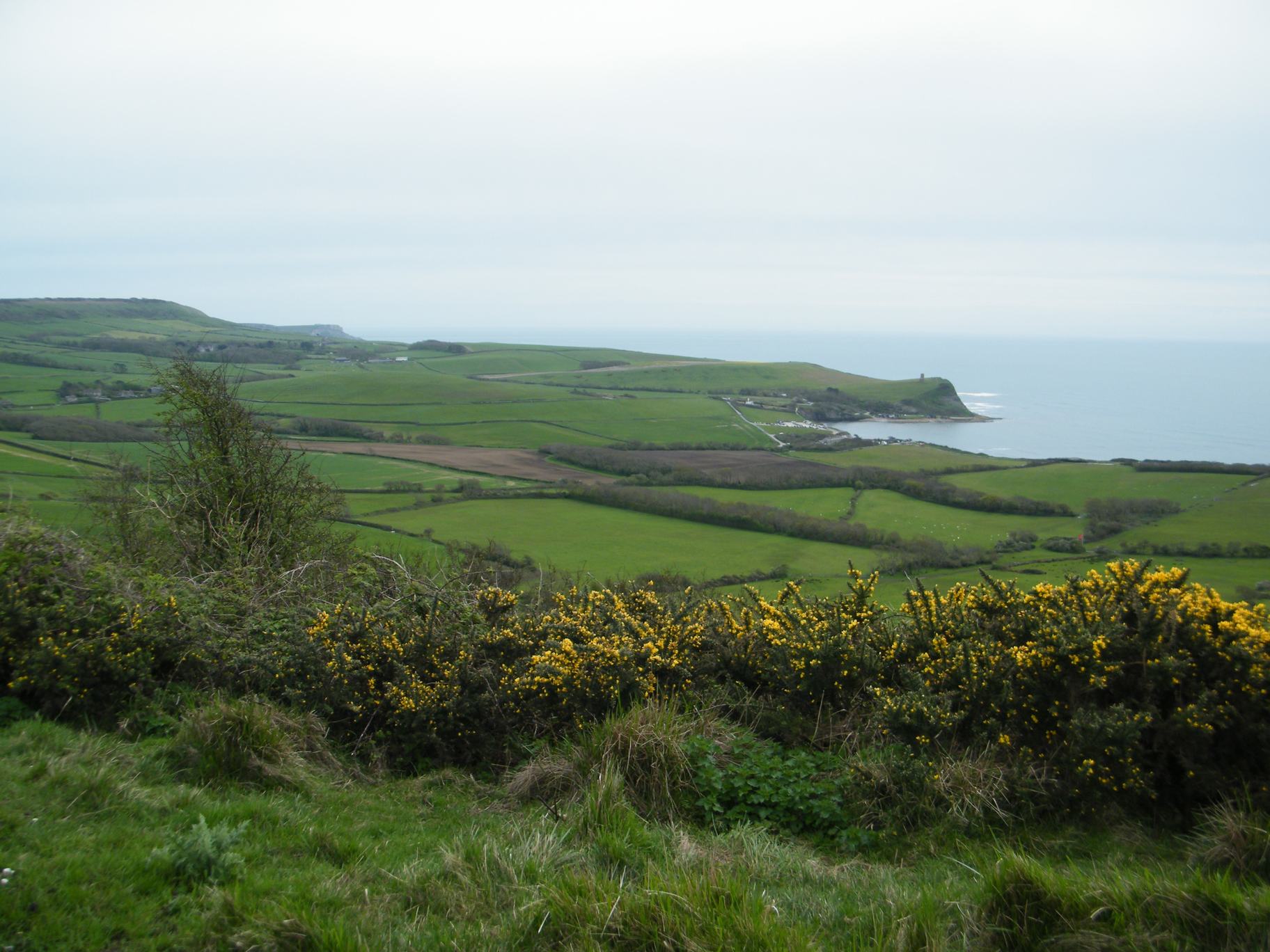 Dorset Group 14Apr24 Jurassic Coast: Tyneham to Kimmeridge Circuit.