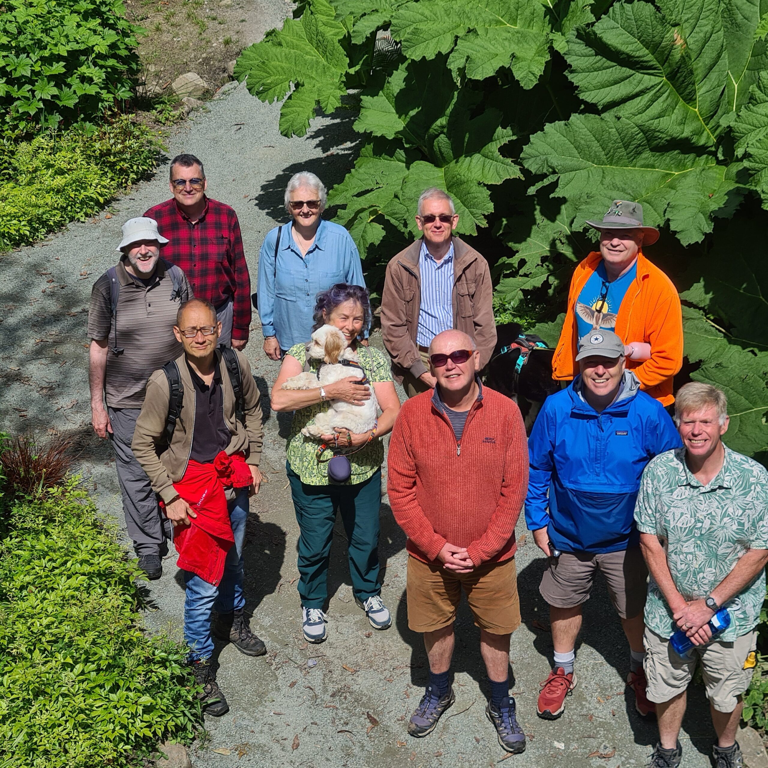 Gardens: Walk/talk & lunch at Clyne Gardens, Swansea.
