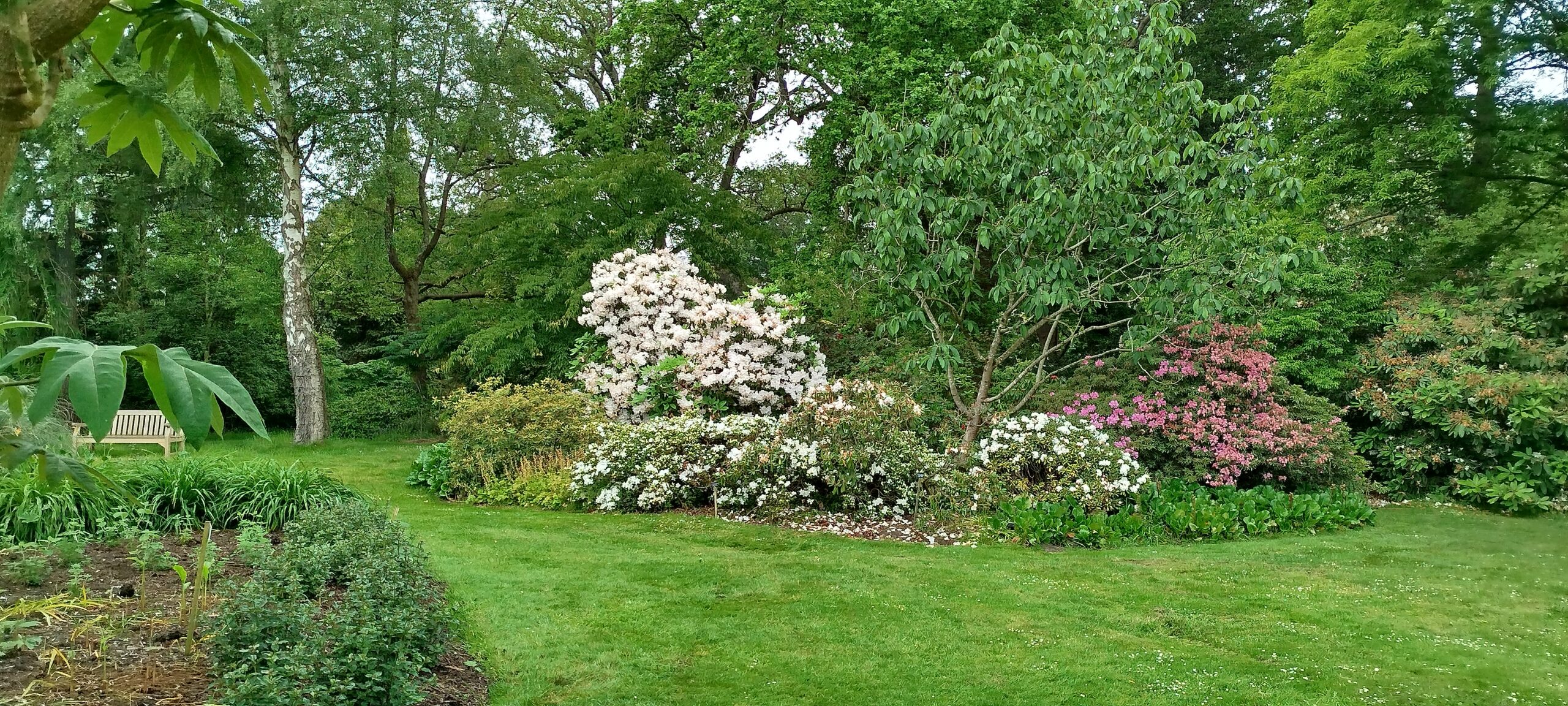 Visit to Savill Garden Windsor Great Park
