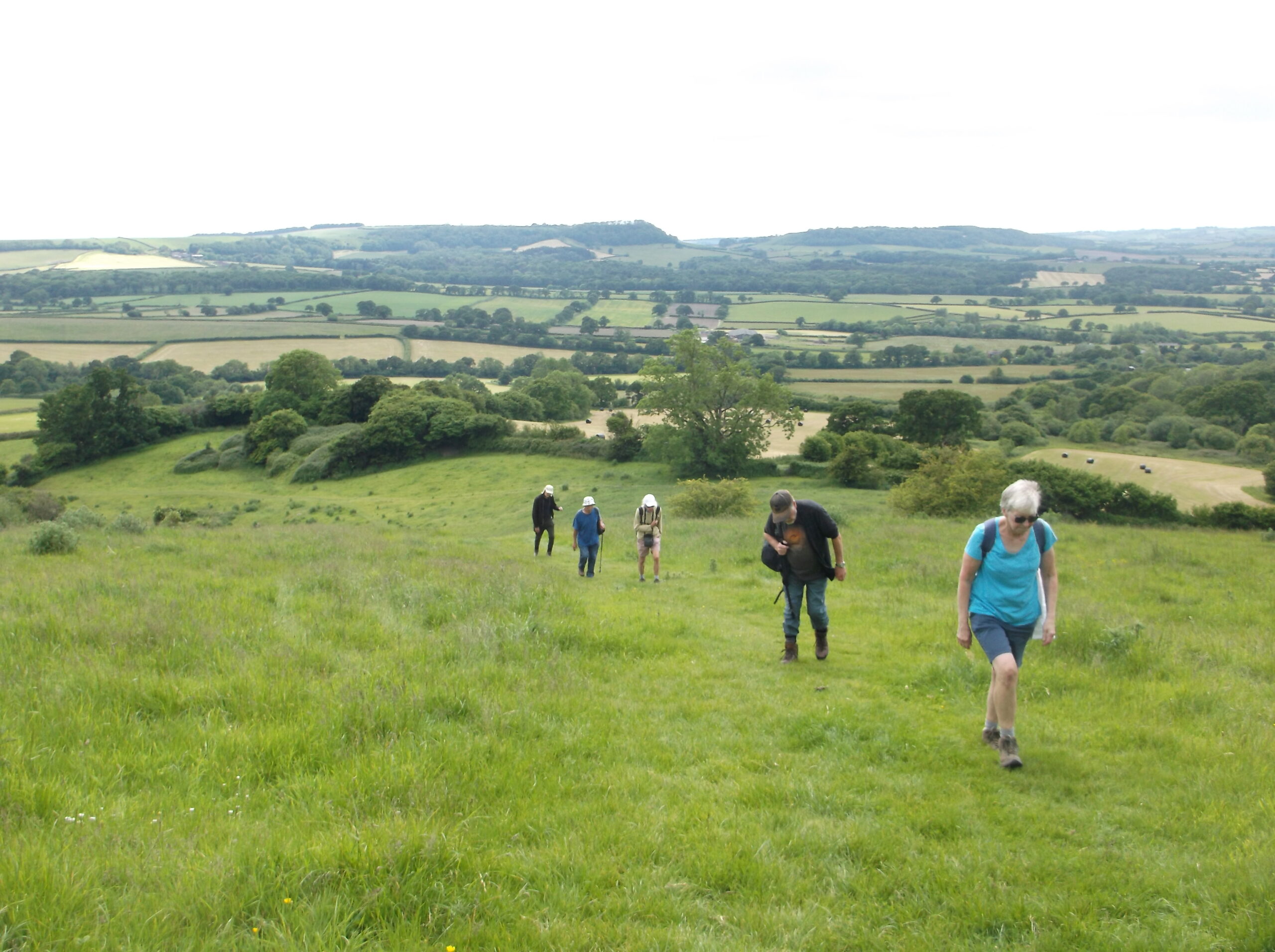 Dorset Group 9Jun24: Bulbarrow Hill and the Dorset Gap