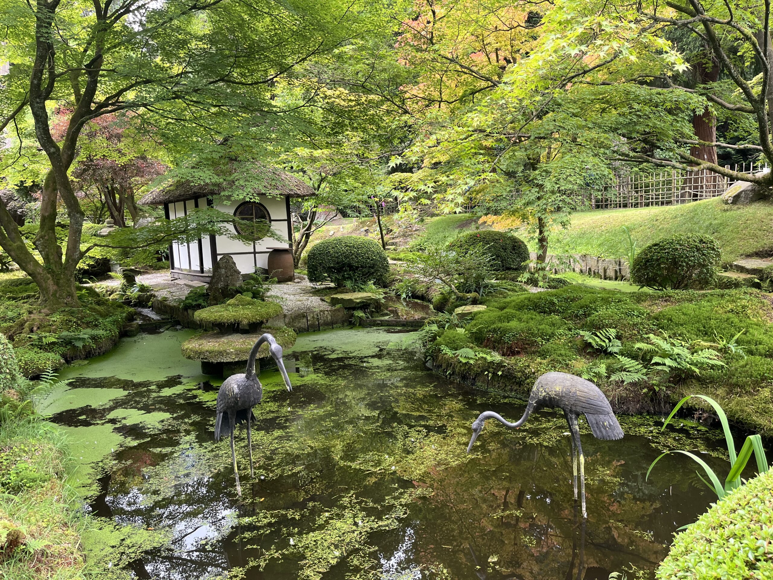 Gardens visit, Tatton Park, Knutsford, Cheshire.