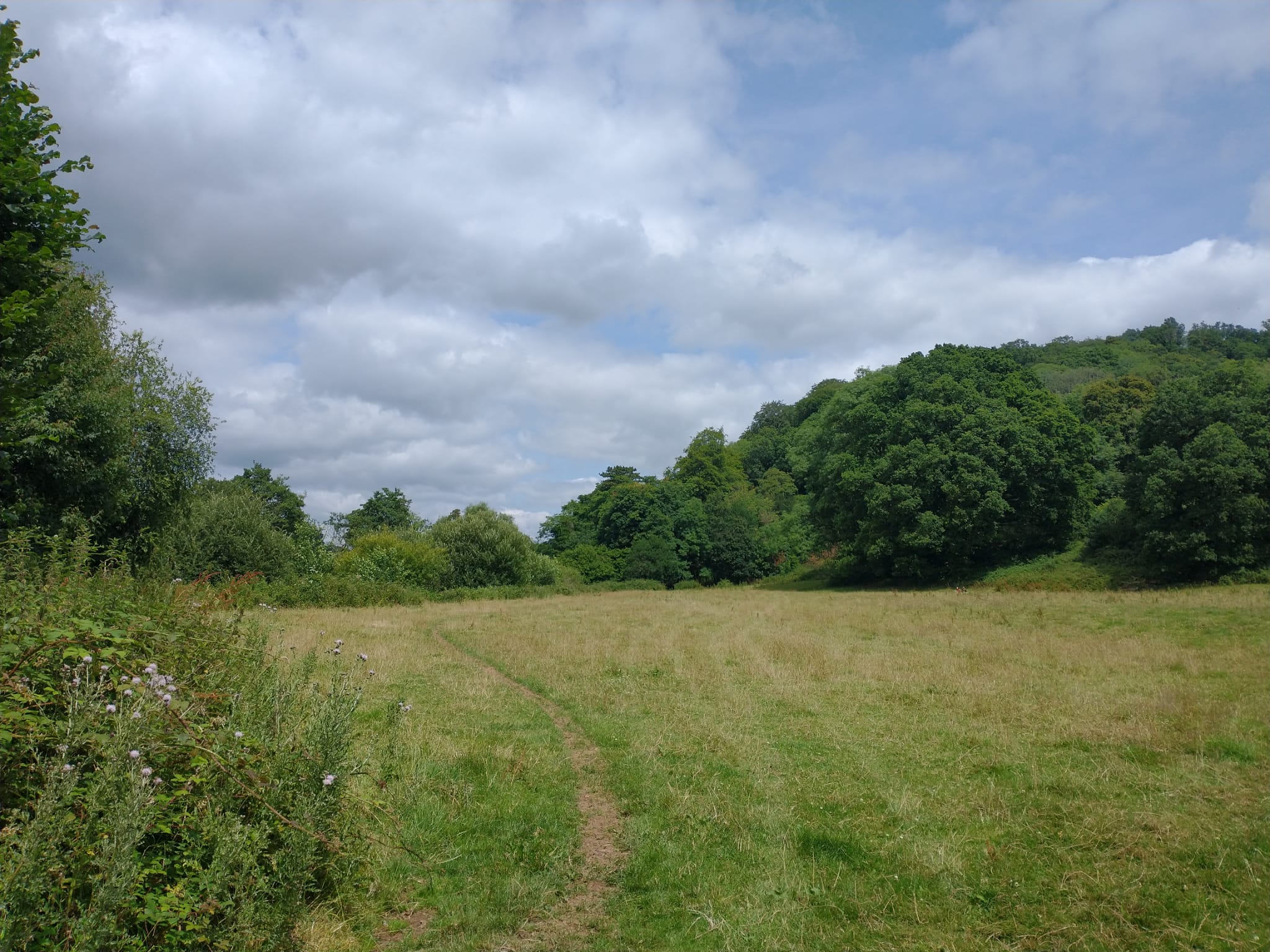 Tiverton to Bickleigh: 17th July 2024