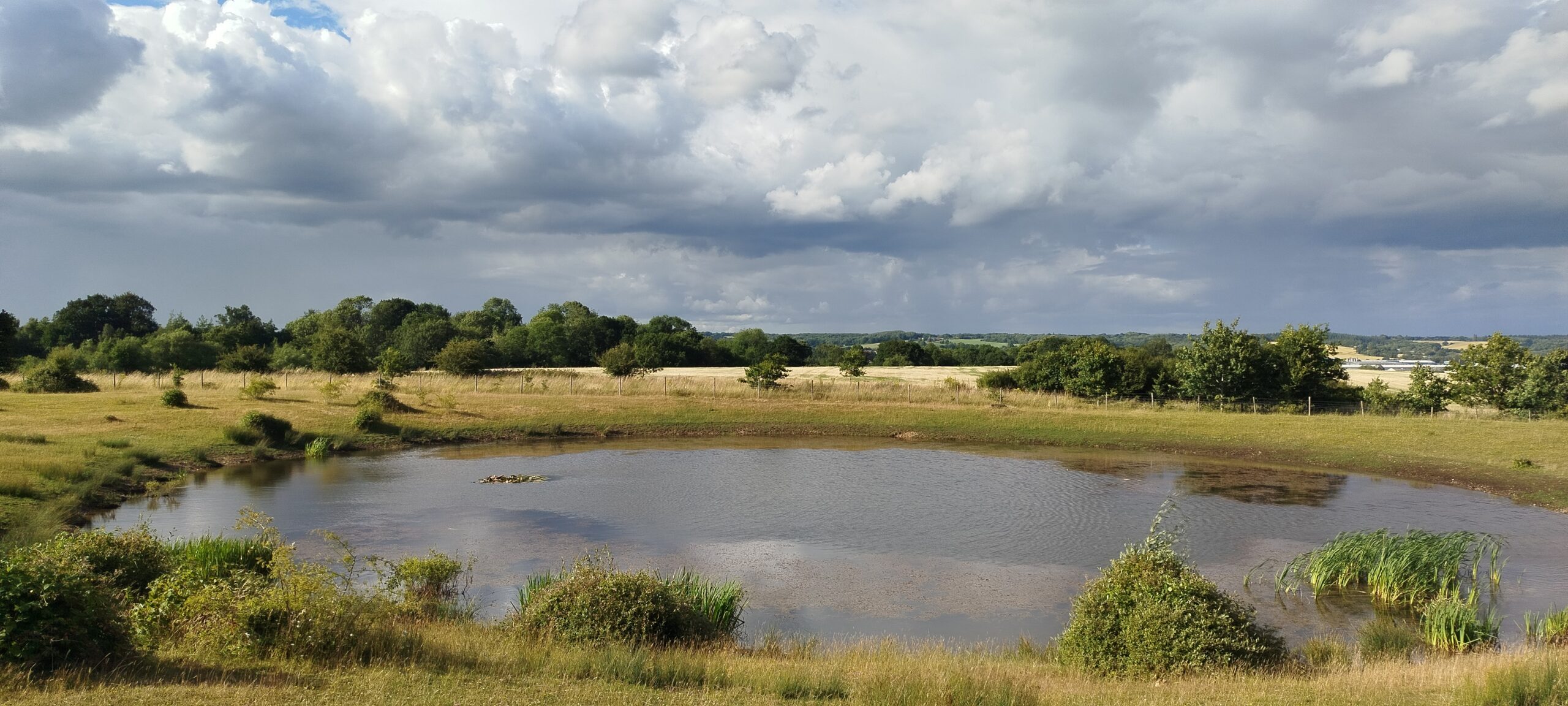 A walk on Greenham Common