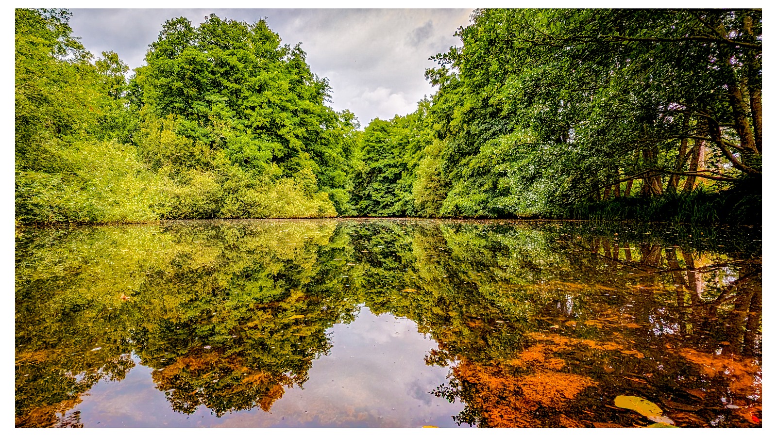 Royal Elstead, Ockley, Thursley and Rodborough Commons