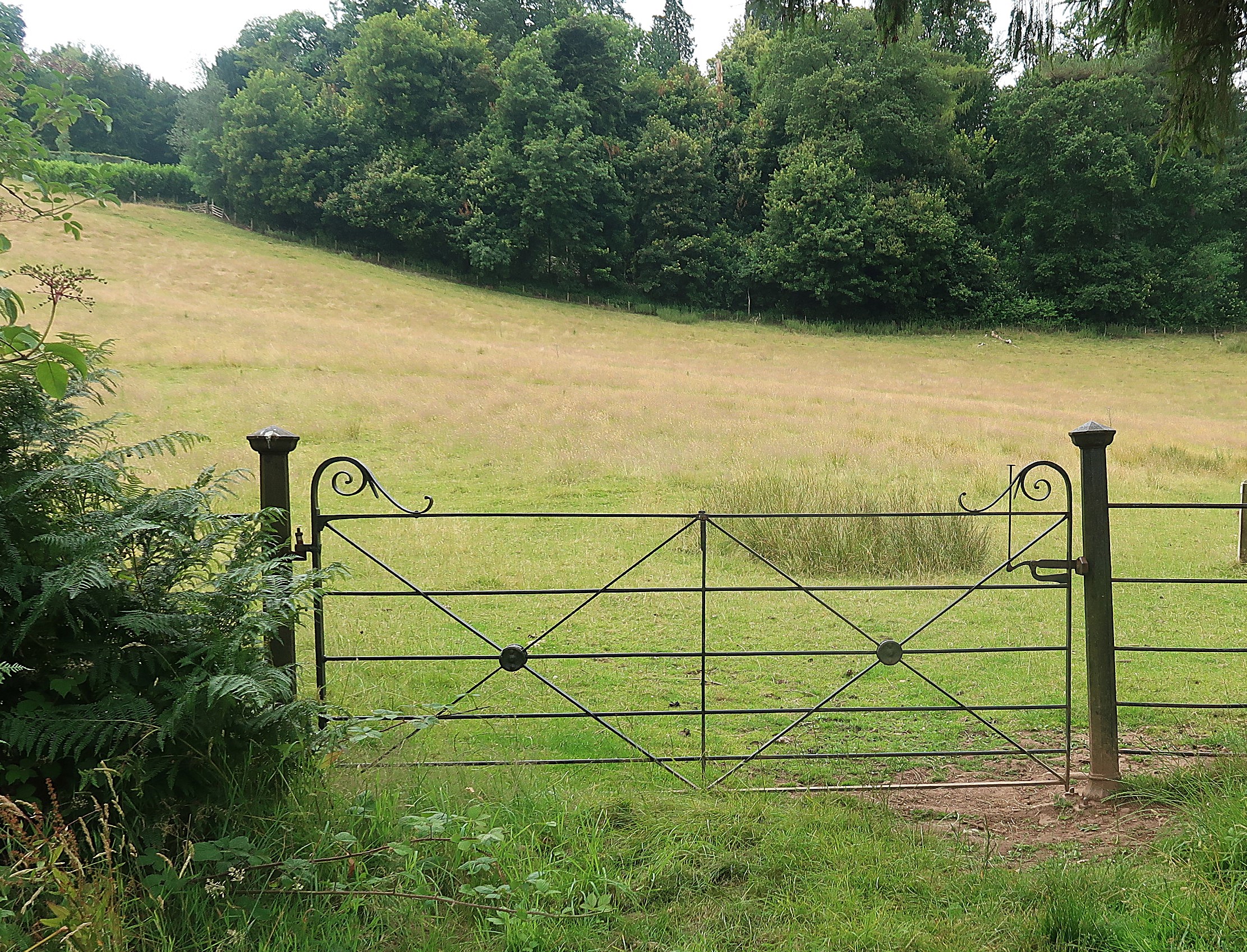 A glorious romp and spooky discoveries