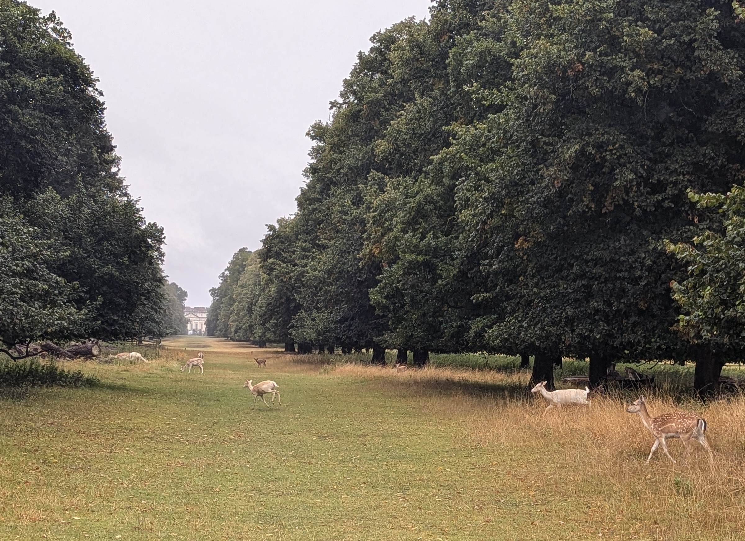 A very wet route march
