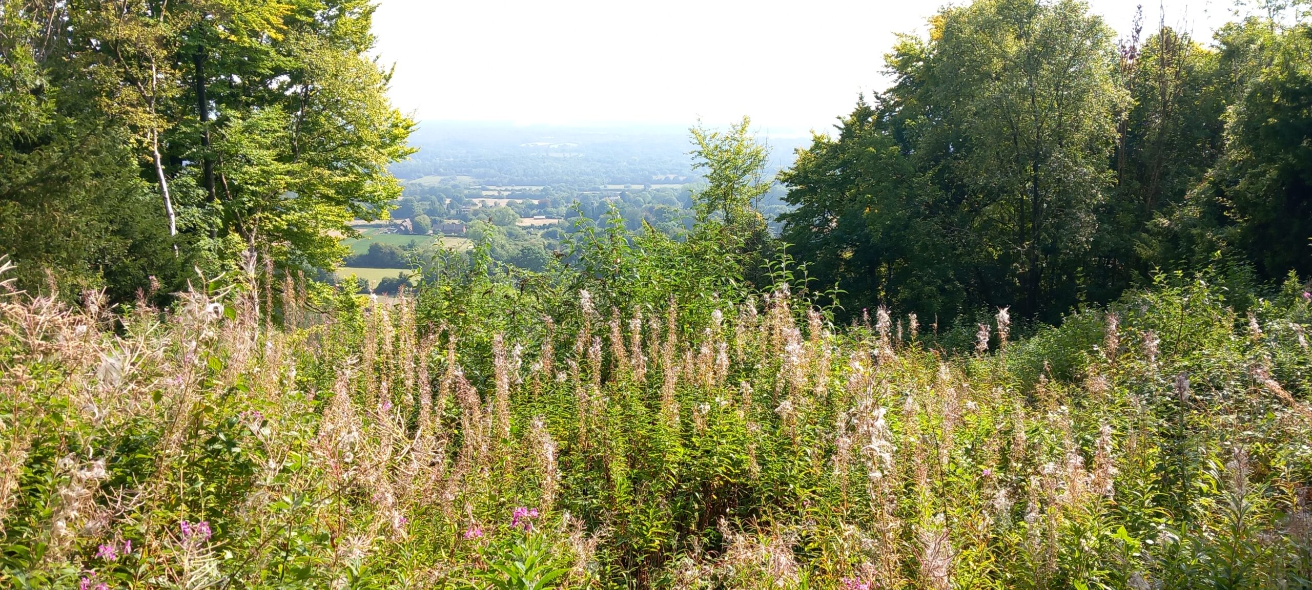 West Kent – Meopham Green, Luddesdown and Trosley Country Park – 1st September, 2024.