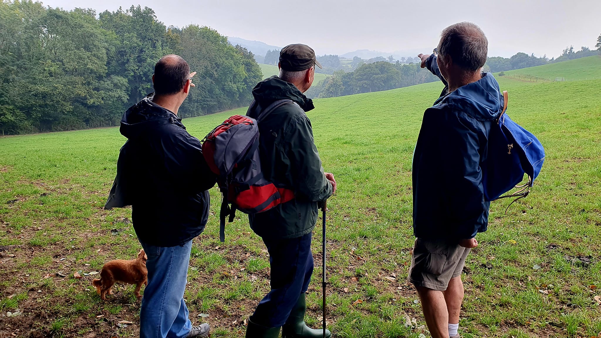 Denbigh Circular Walk