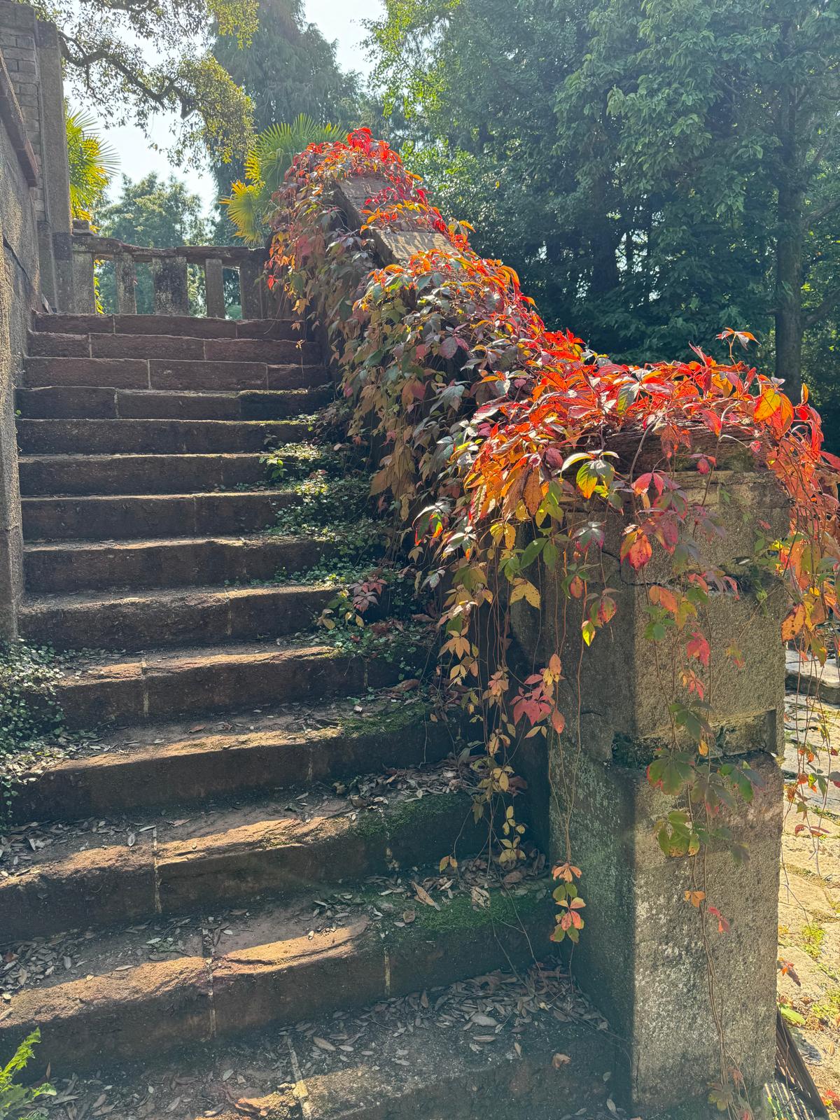 A trip to the secret garden… Devon GOC 19th September