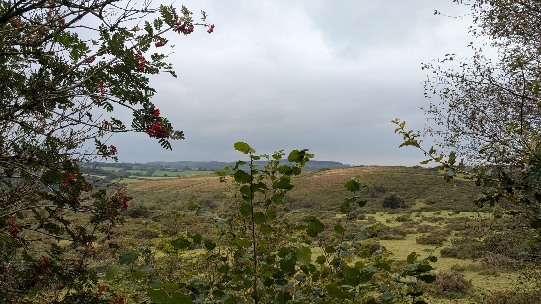 Around Gorgeous Lydford: Devon GOC 1st Sept