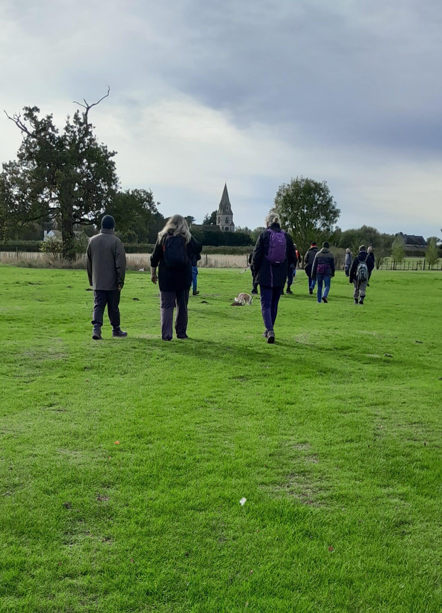 Scampton figure of 8