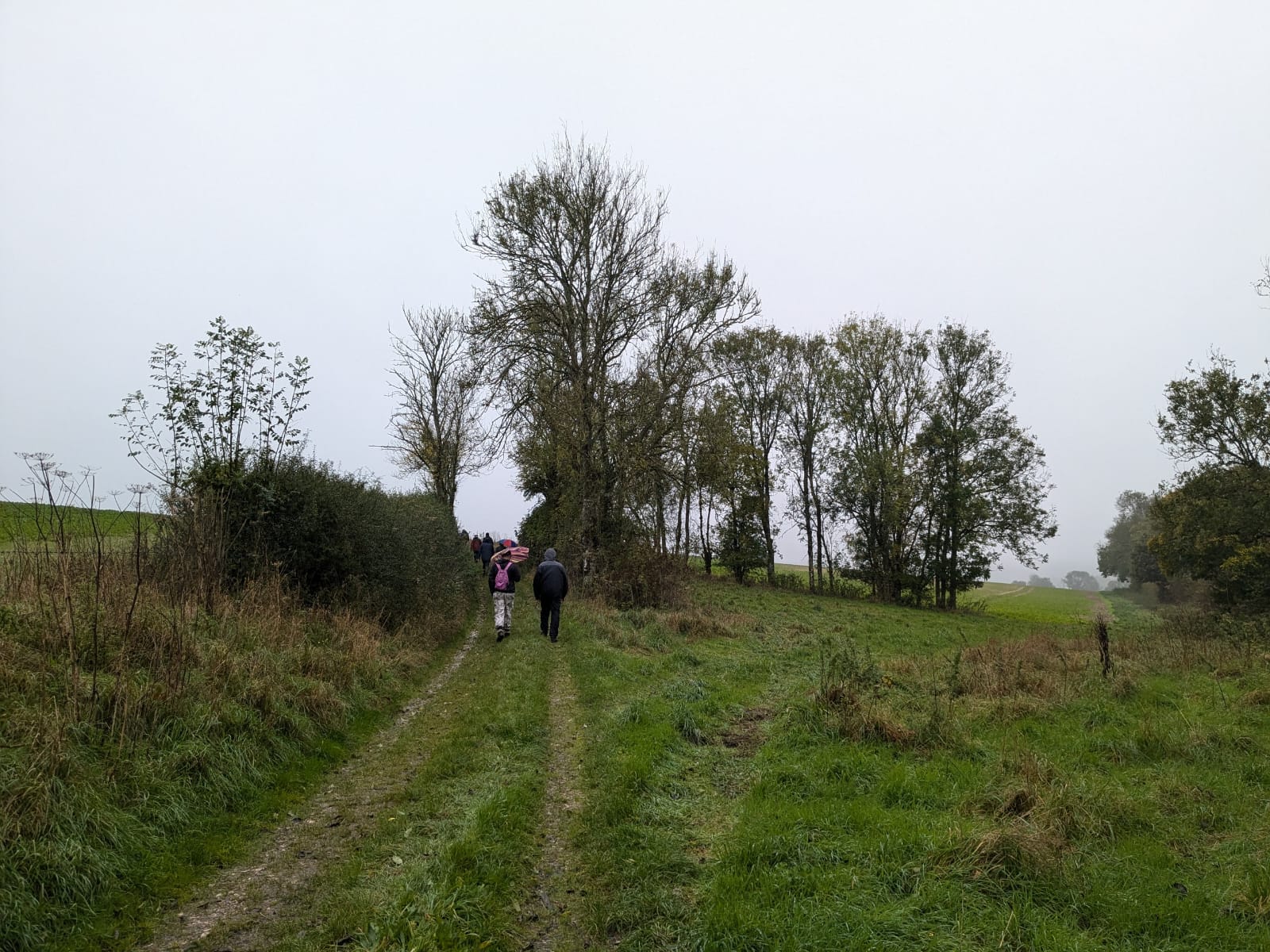Circular walk in the Berkshire Hampshire Borders