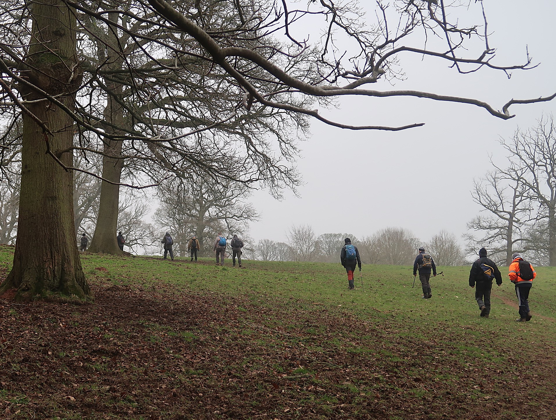 Severnside  and Shrawley Woods in Winter