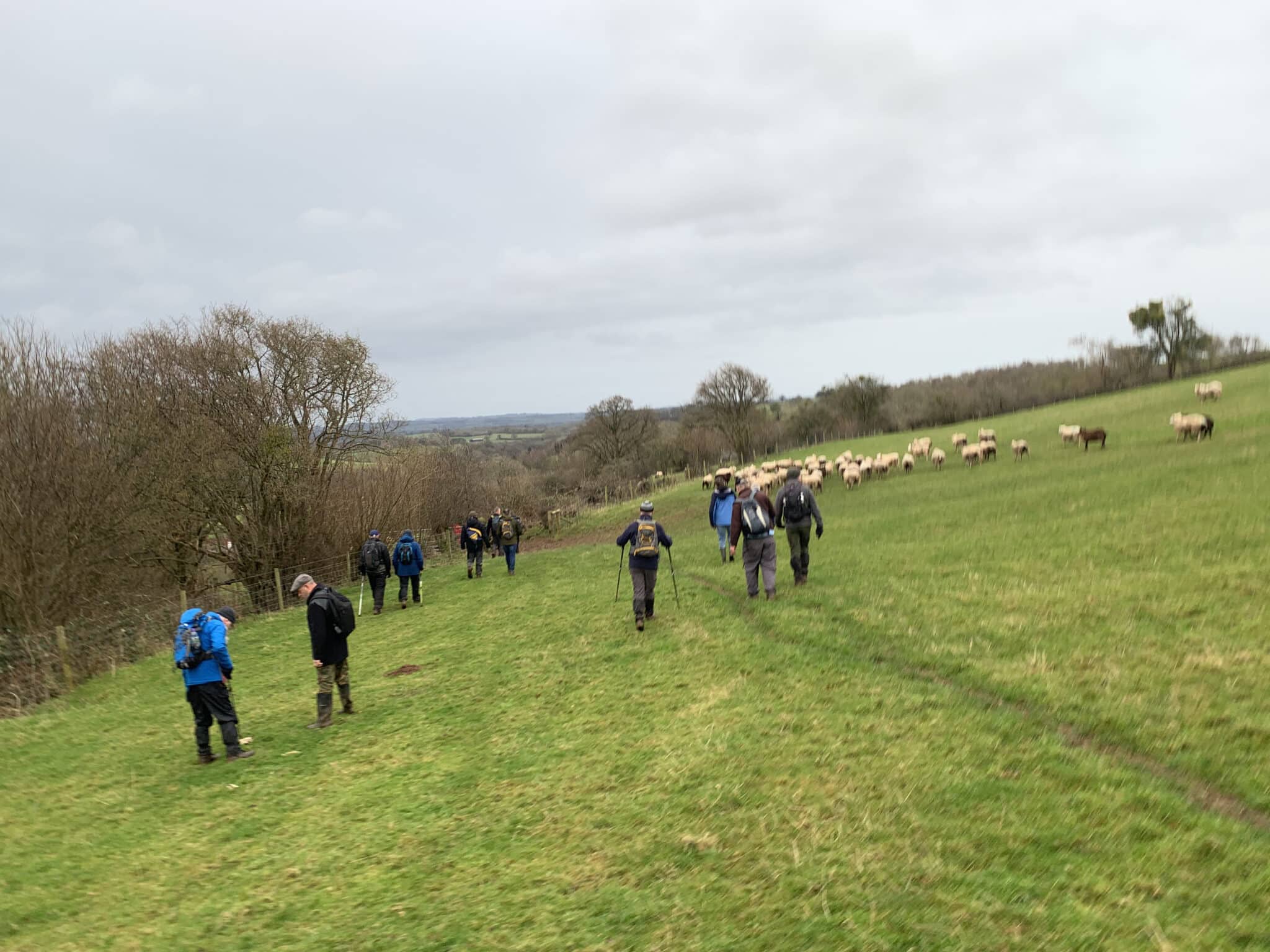 A Walk to Blow Away the Cobwebs