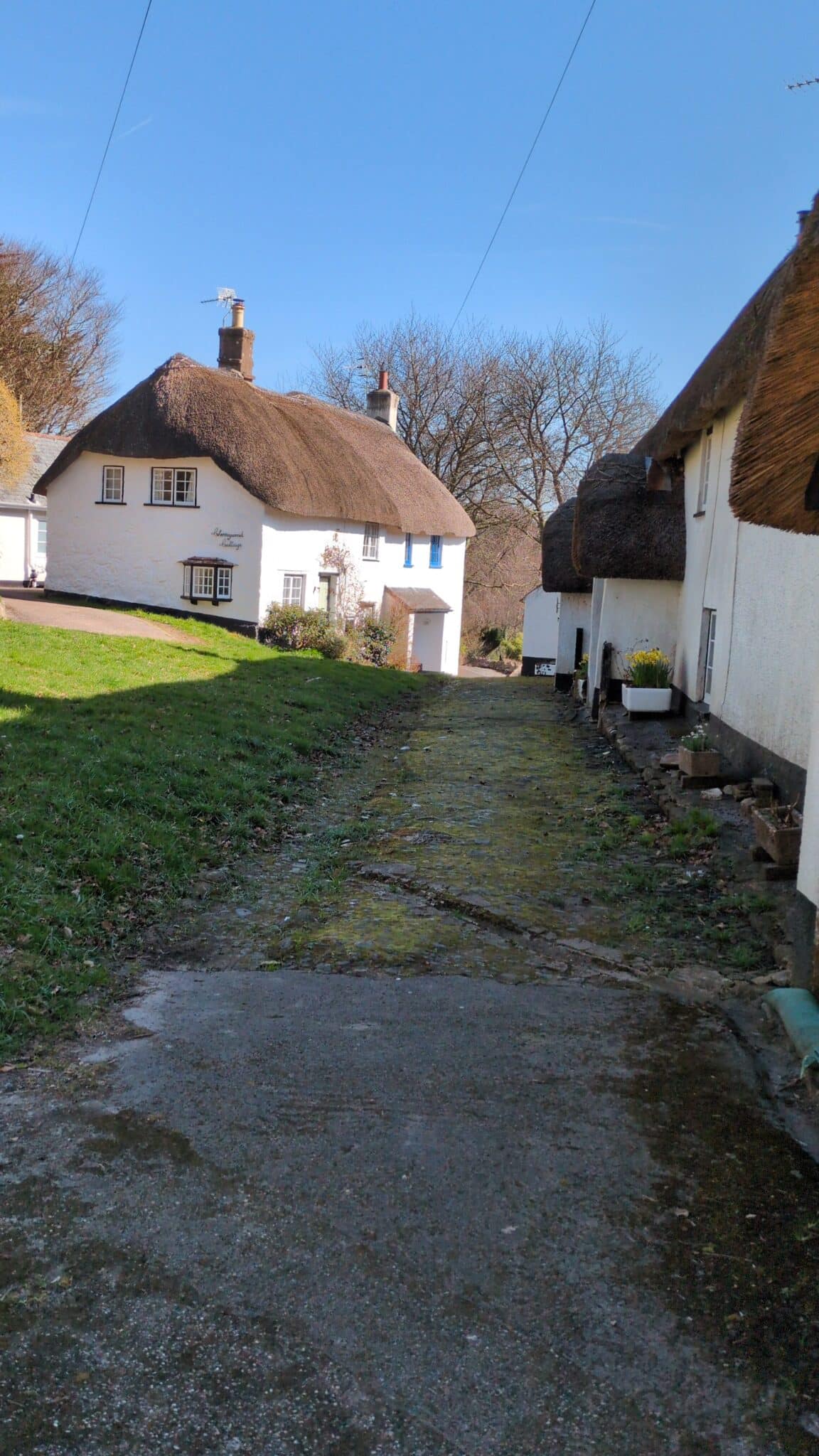 Devon GOC welcomes flaming June in “stiles”