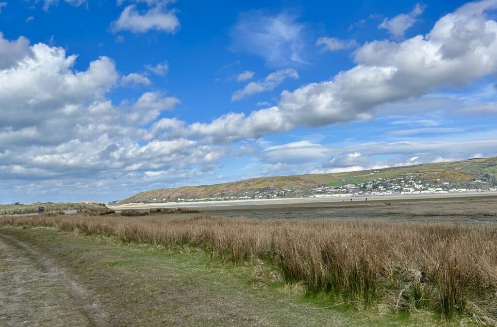 Ynyslas to Aberdyfi