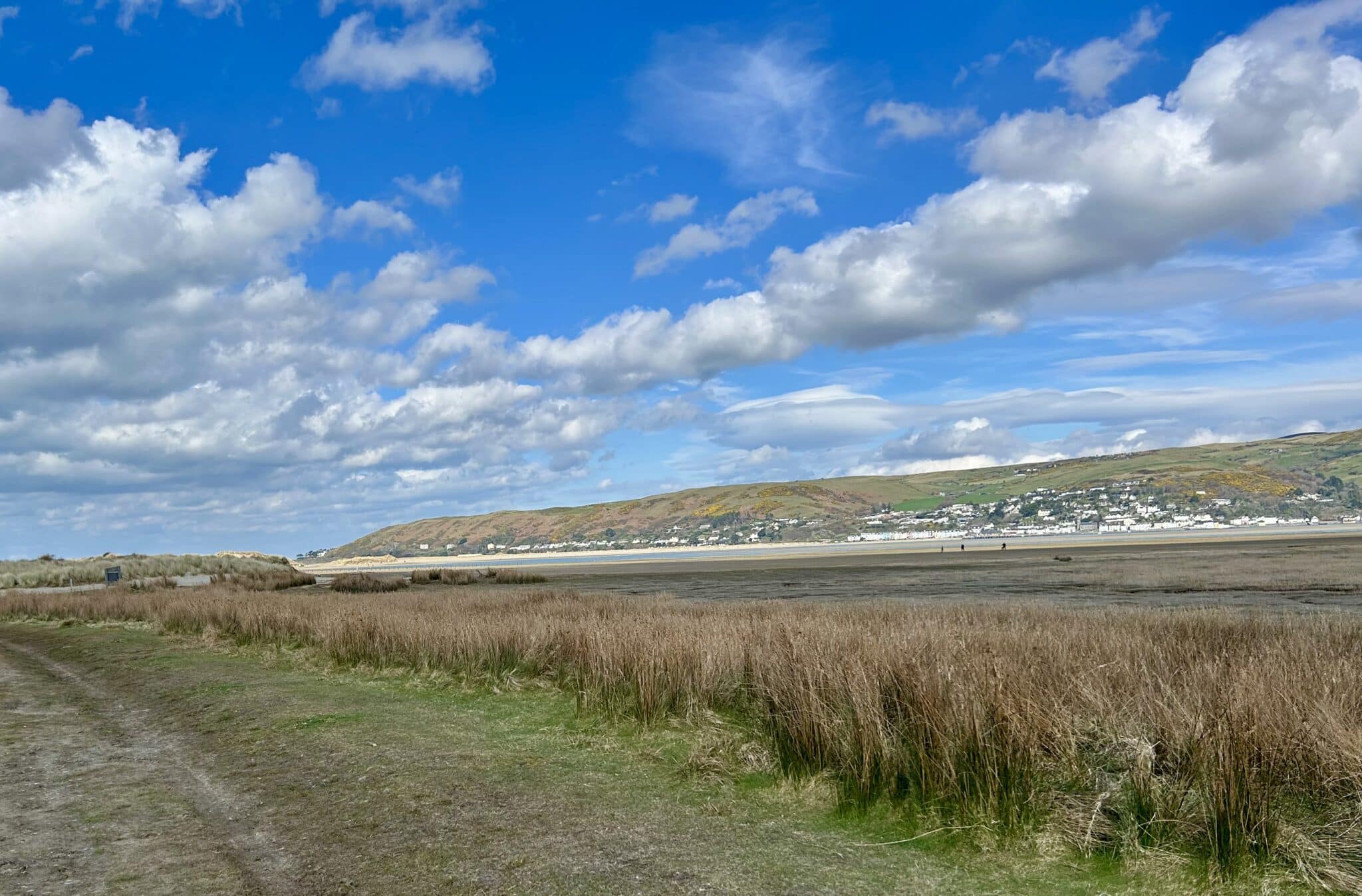 Ynyslas to Aberdyfi