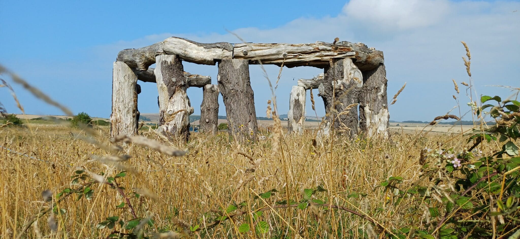 DorsetGroup: 25Jul25: St Aldhelms Head and Winspit Caves