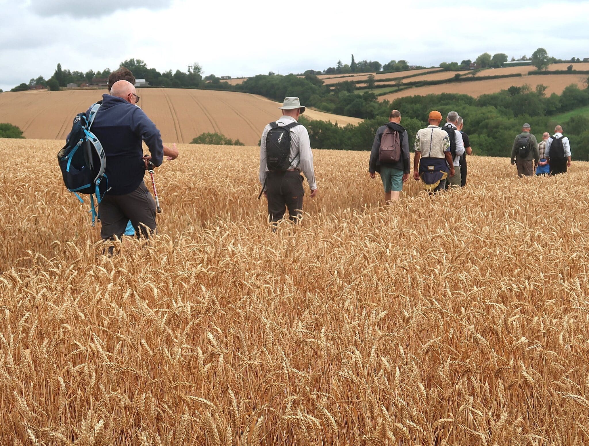 Pensax, Rock & Snead Common