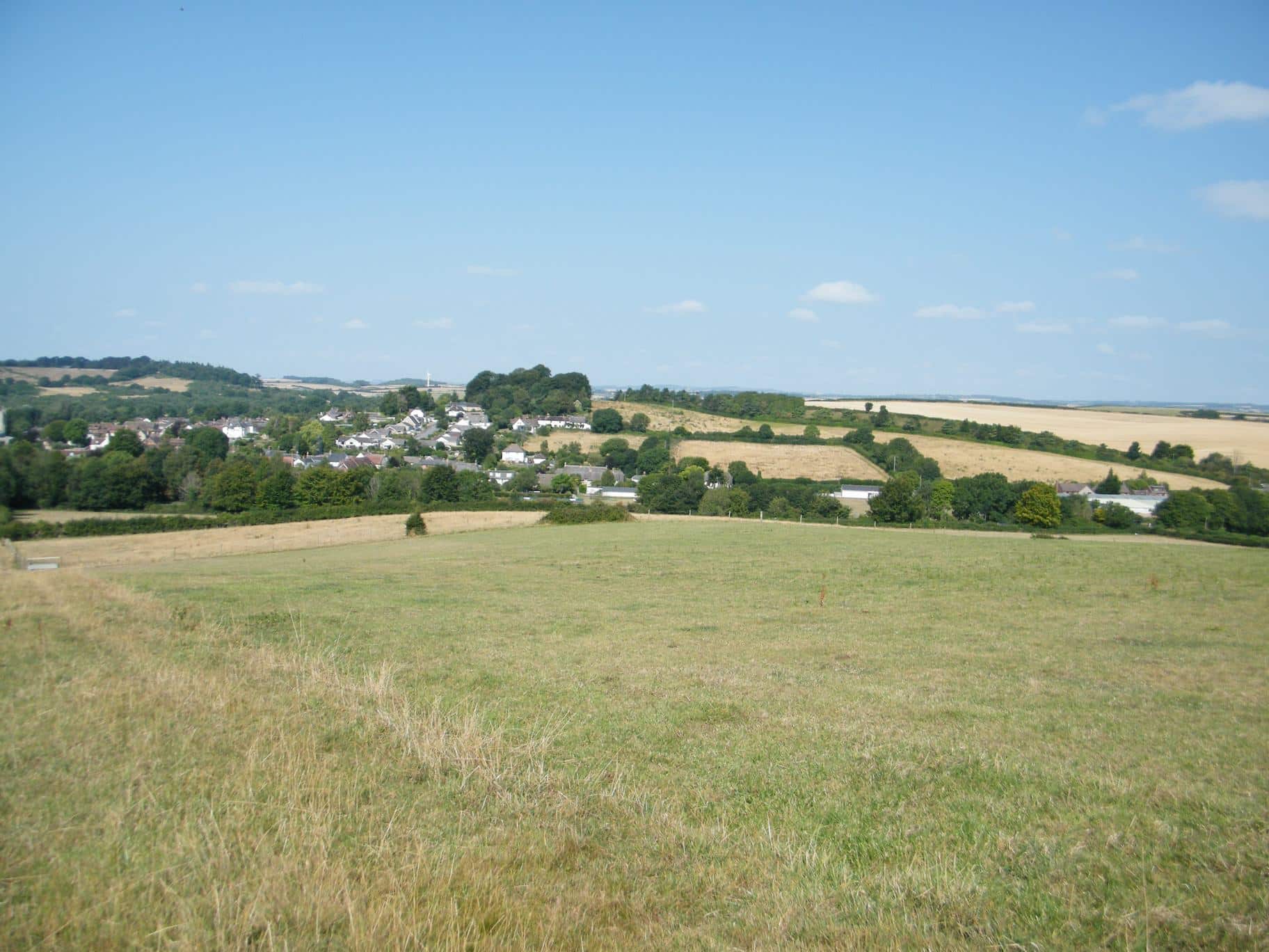 Dorset Group 10Aug25: Bere Wood & Bere Down